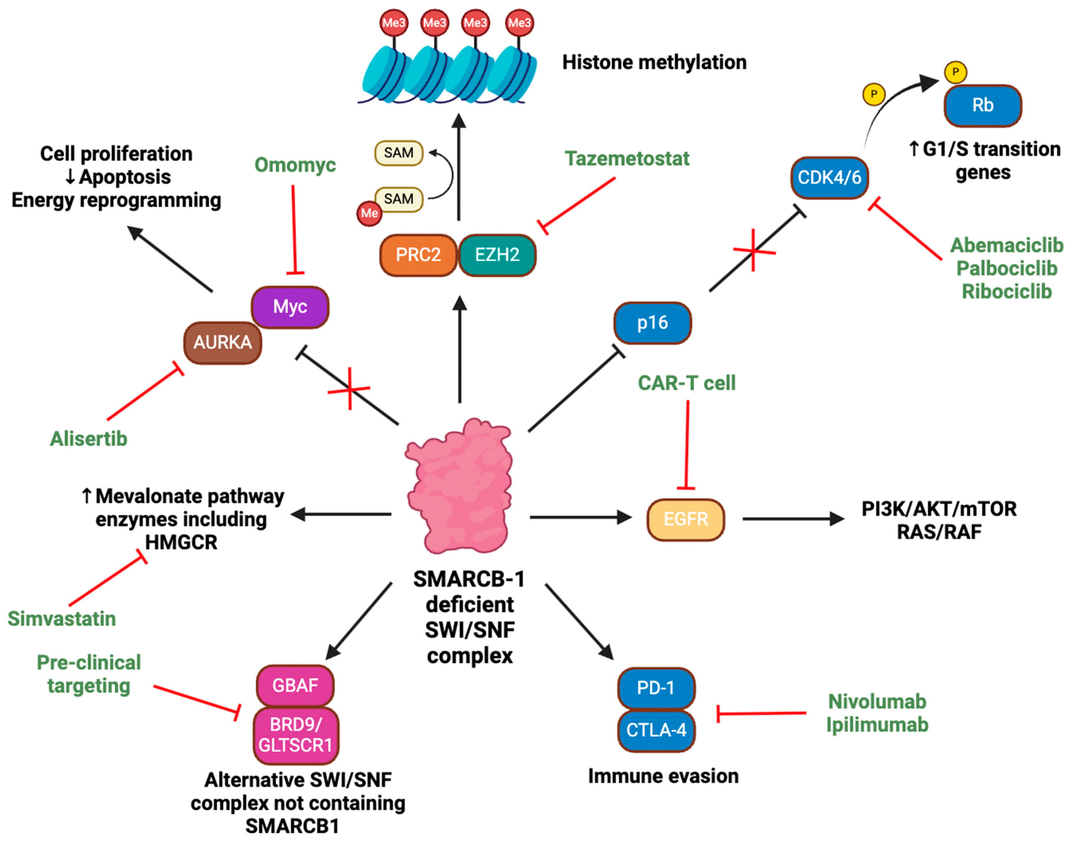 Preprints 155090 g001