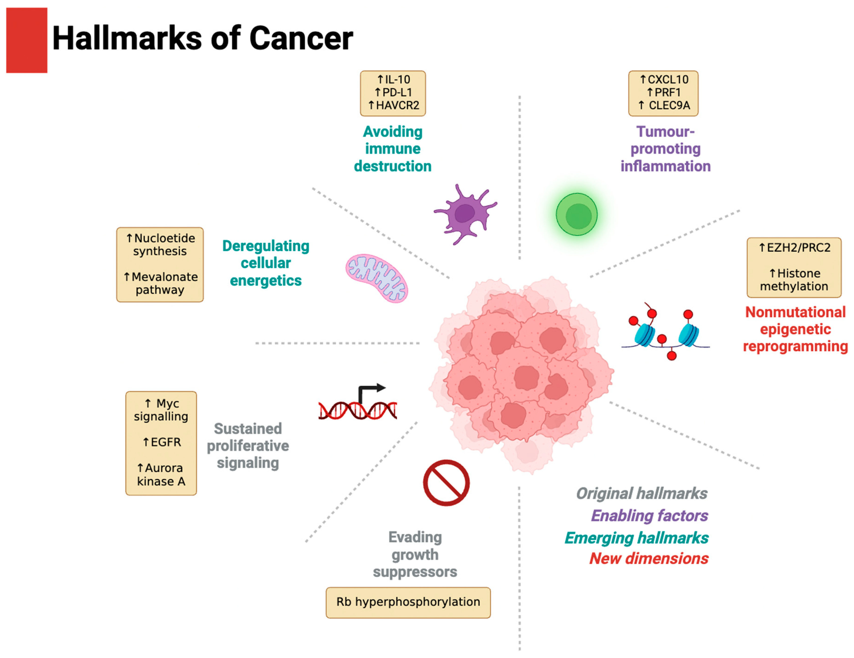 Preprints 155090 g002