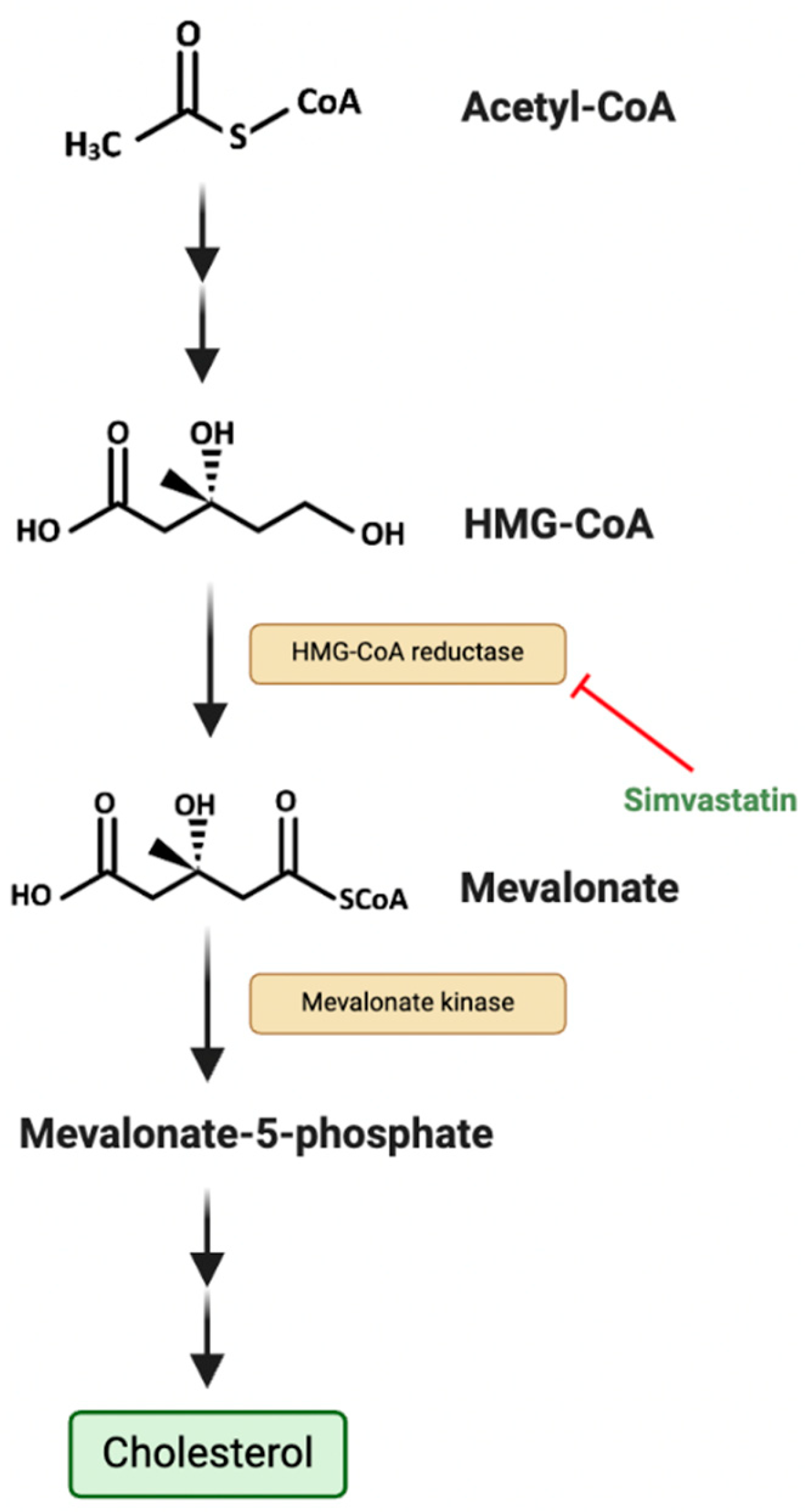Preprints 155090 g003