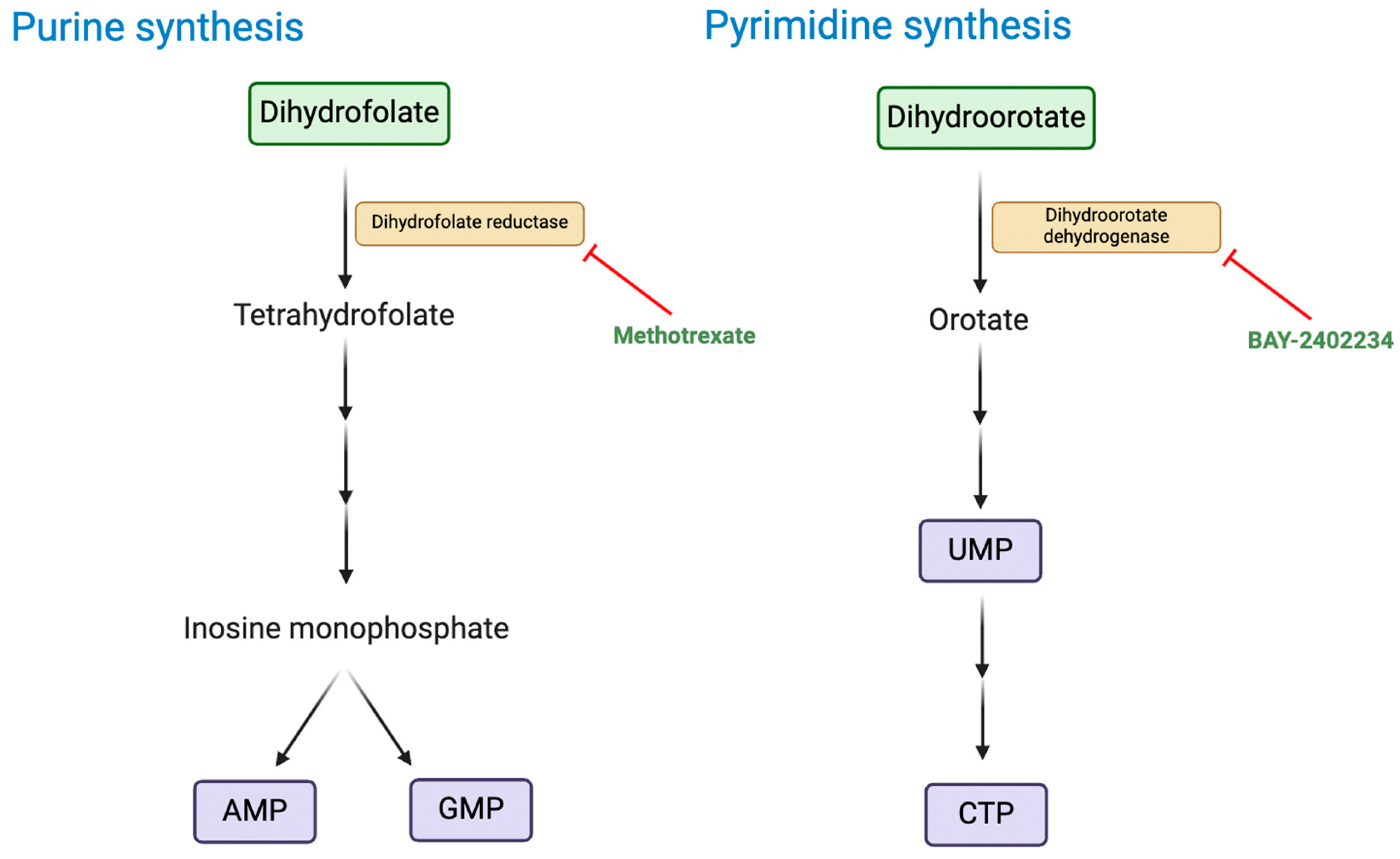 Preprints 155090 g004