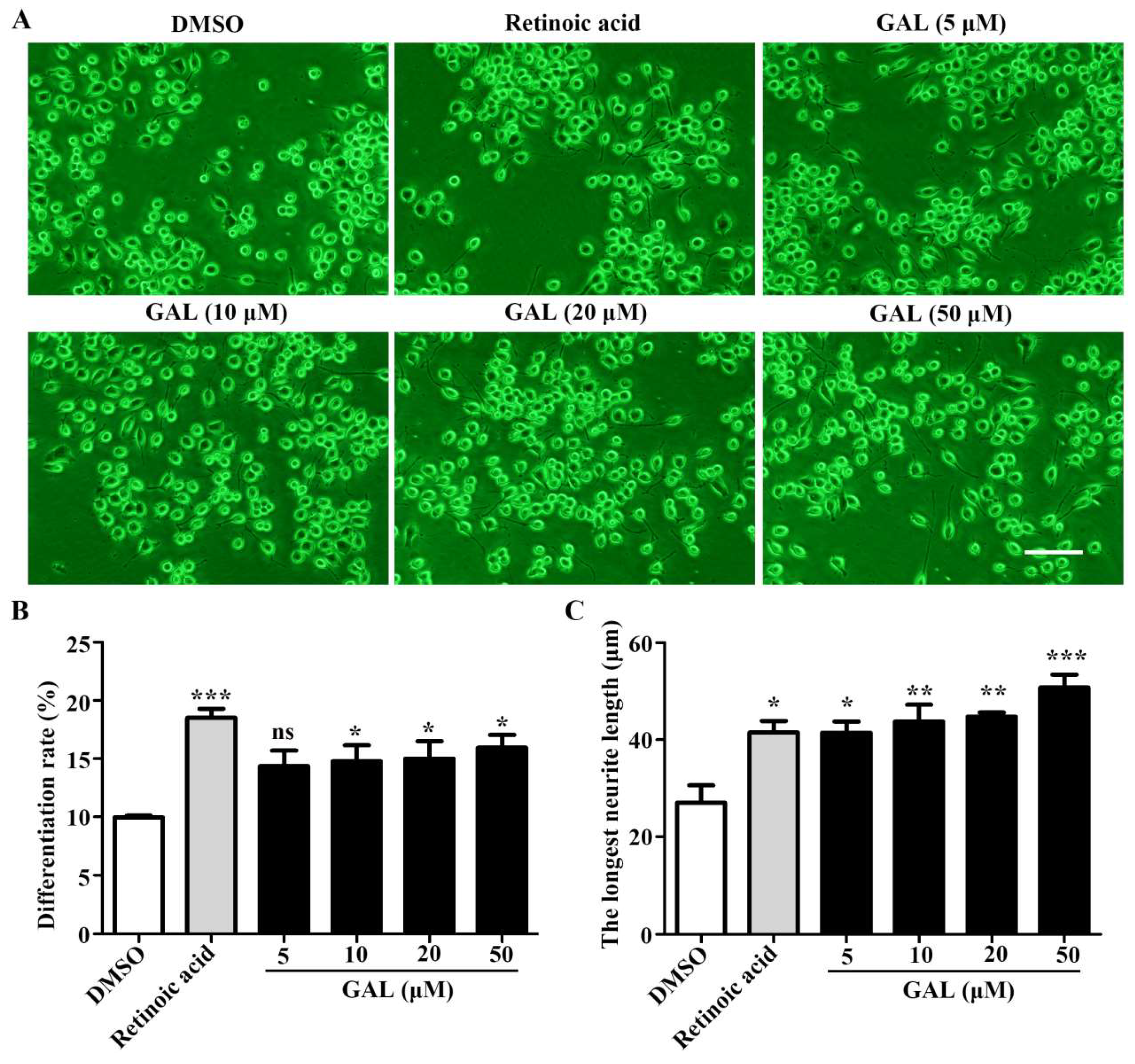 Preprints 146908 g002