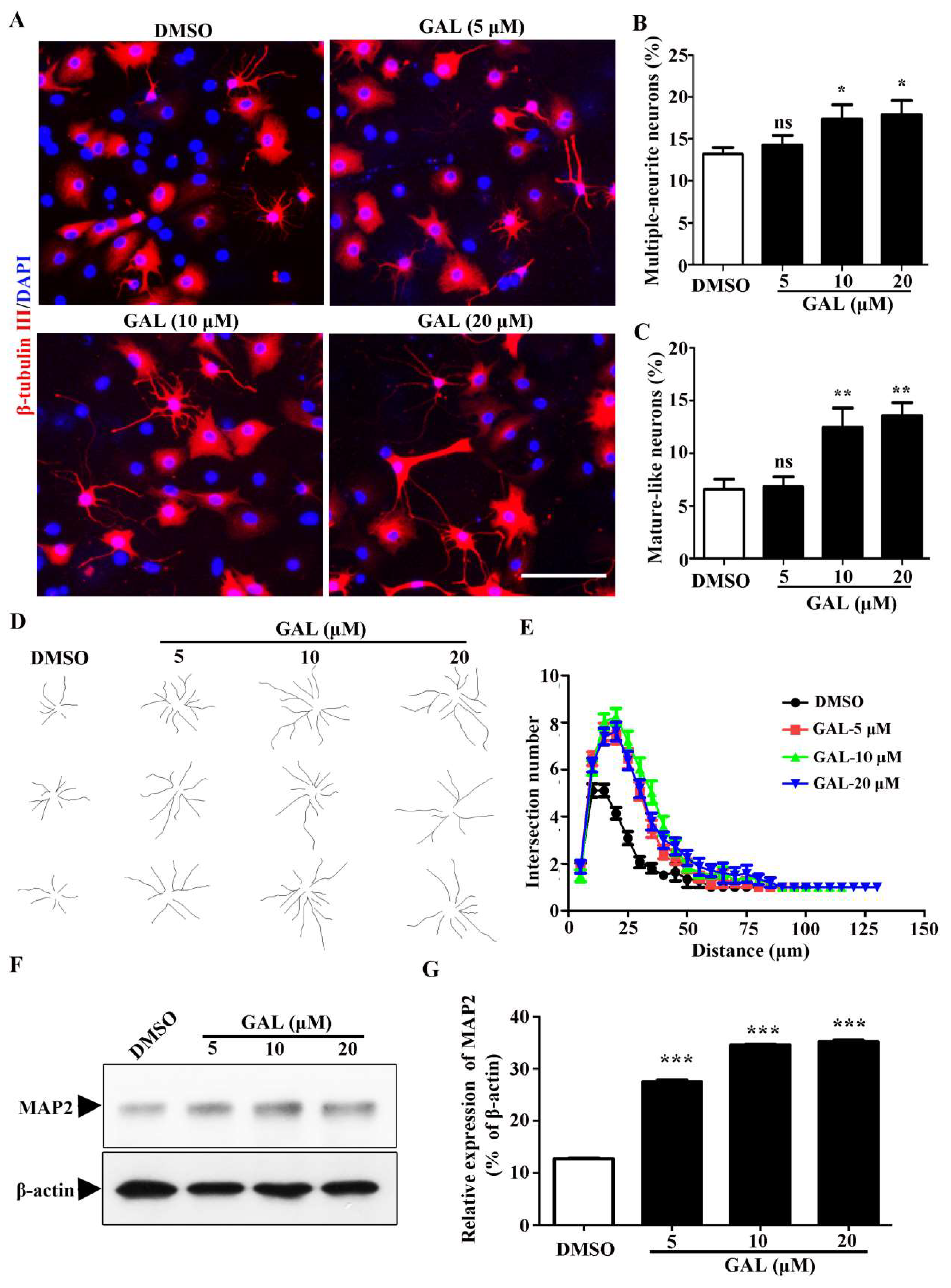 Preprints 146908 g004