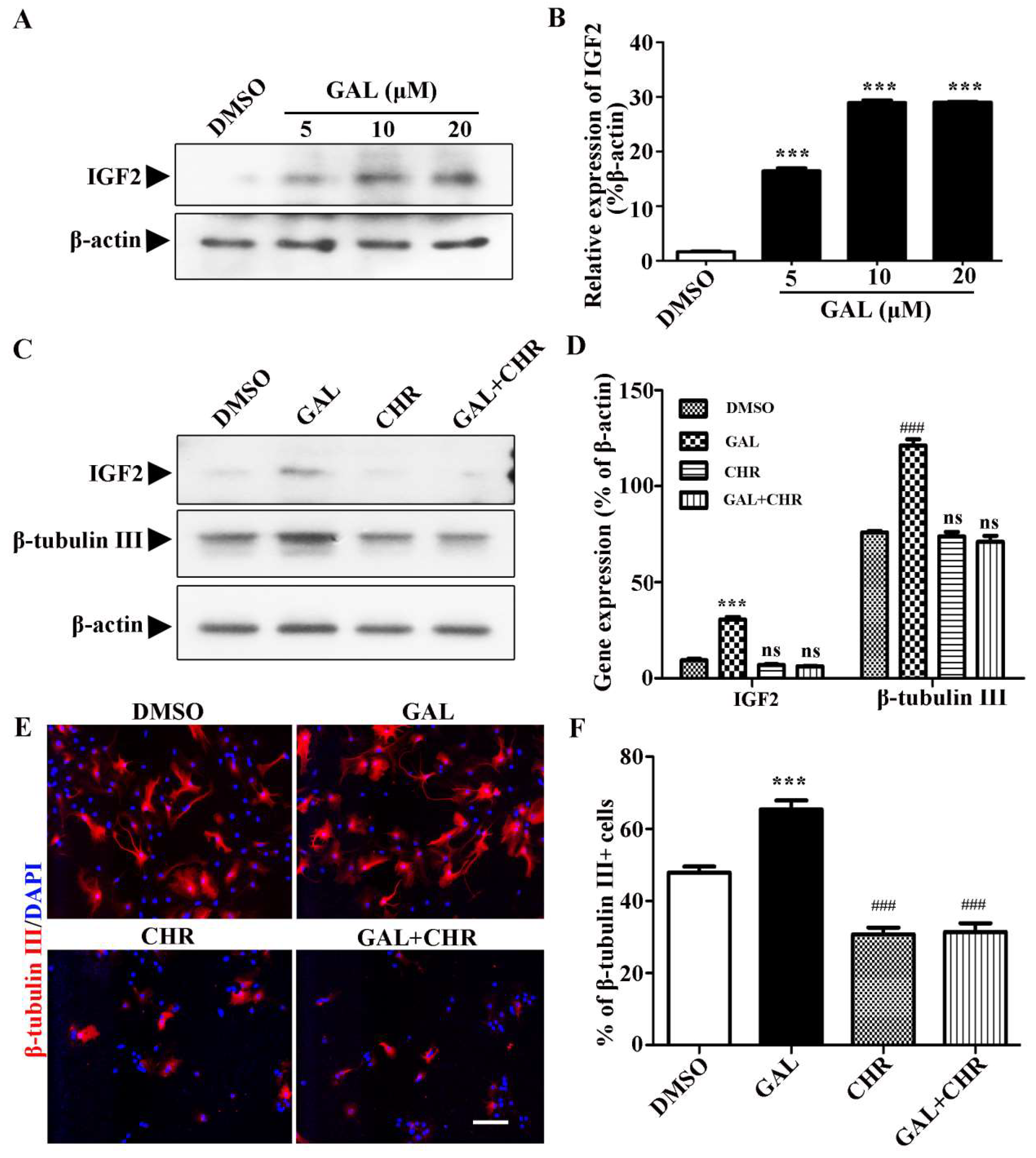 Preprints 146908 g005