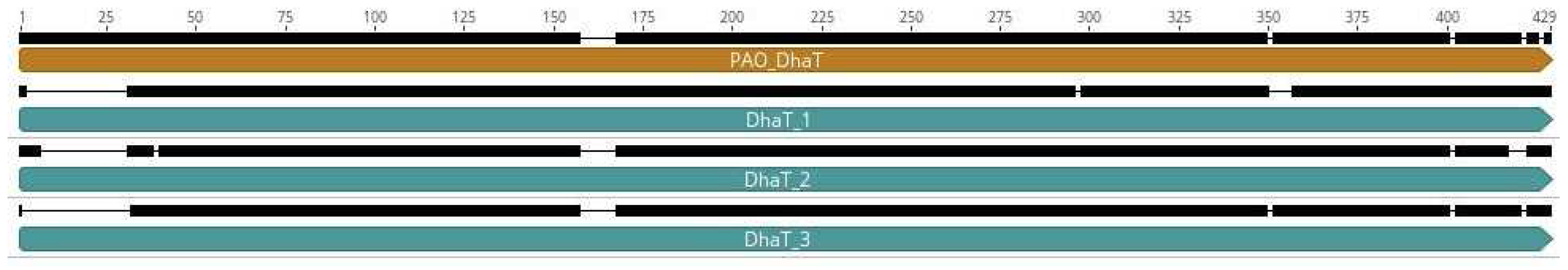 Preprints 77835 g004
