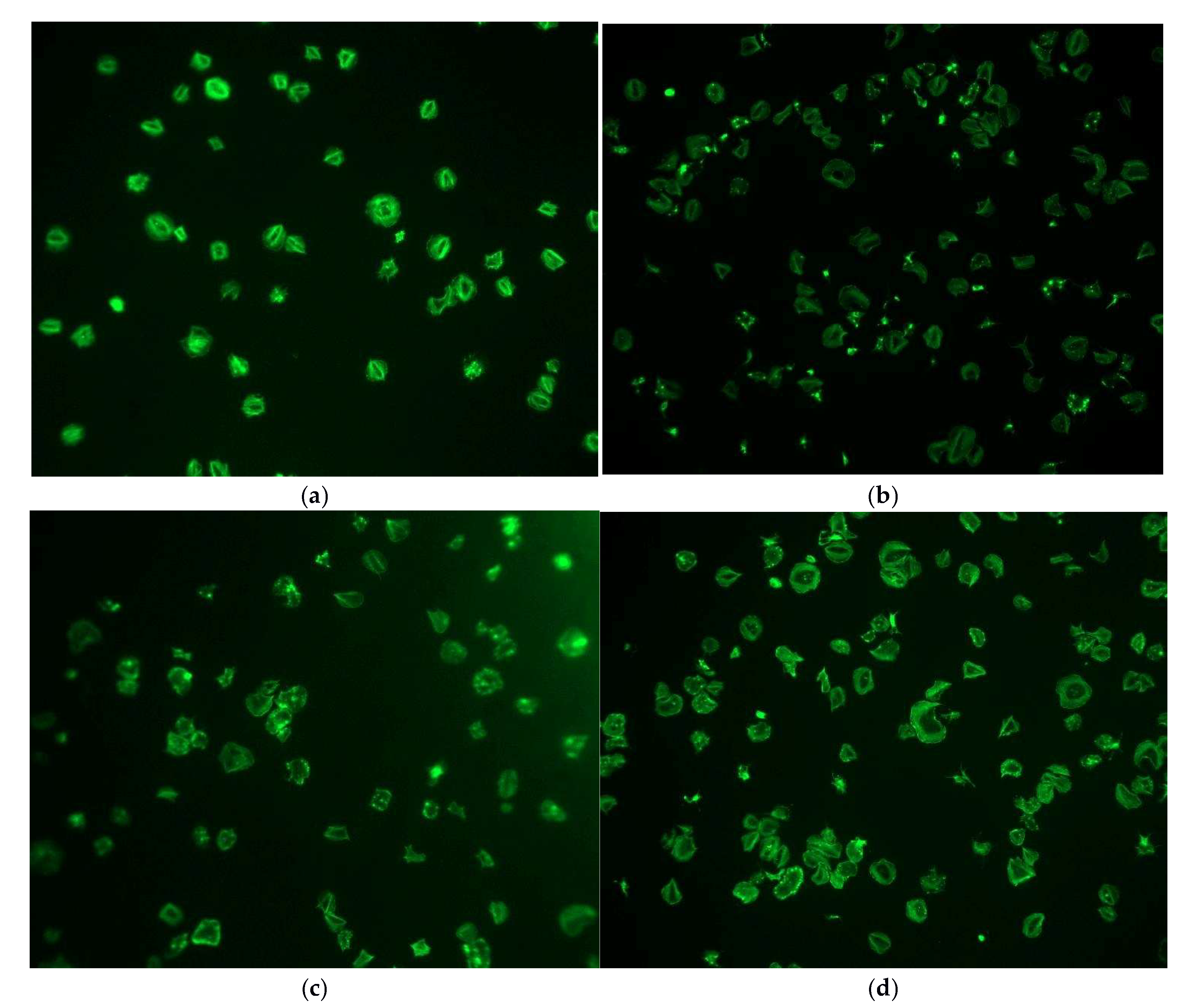 Preprints 231410 g001 Preprints 231410 g001
