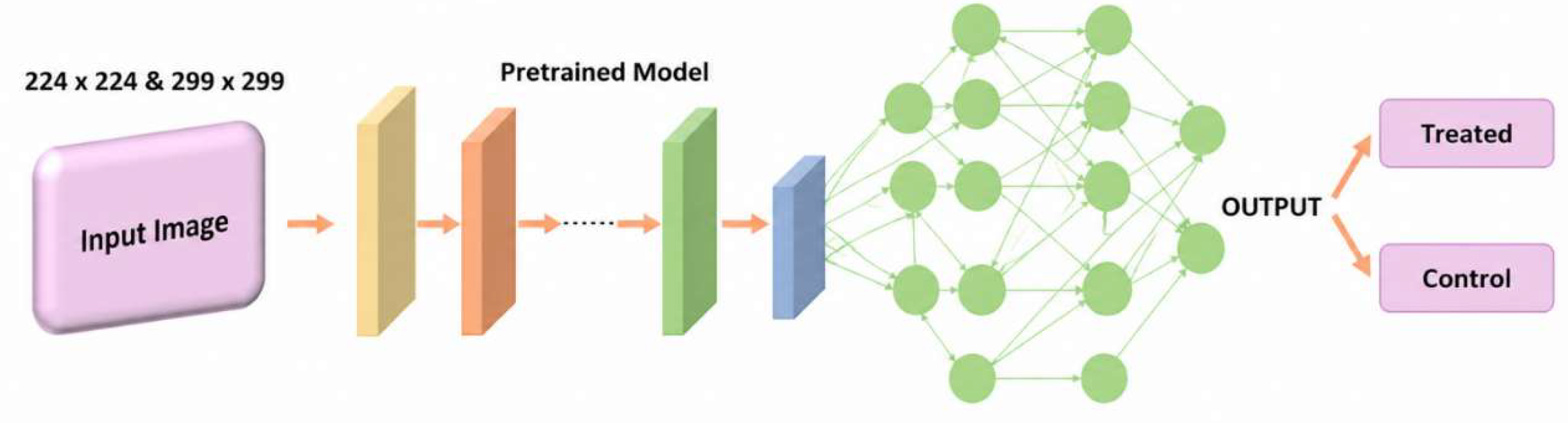 Preprints 231410 g002 Preprints 231410 g002