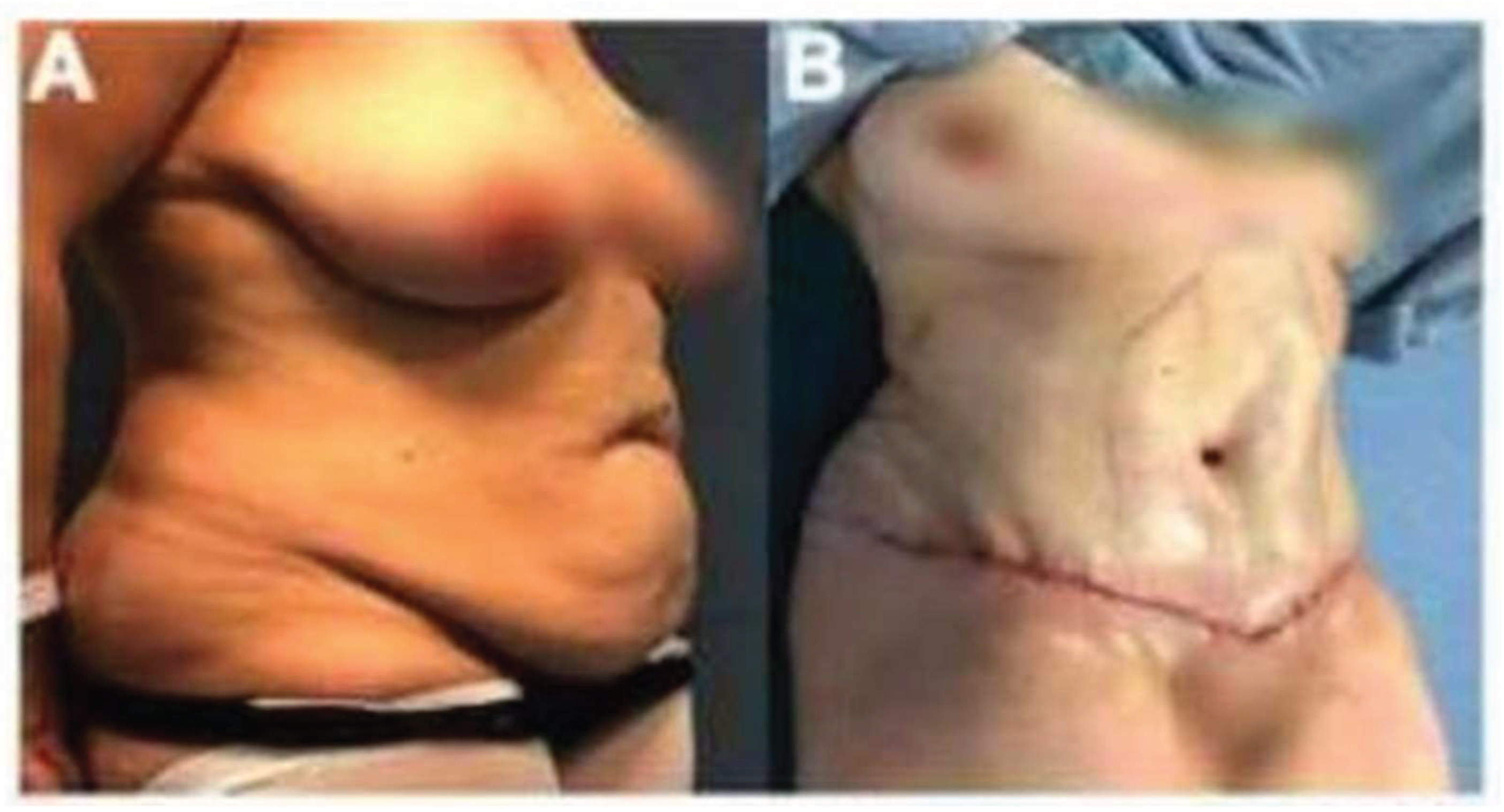 Preprints 164647 g002