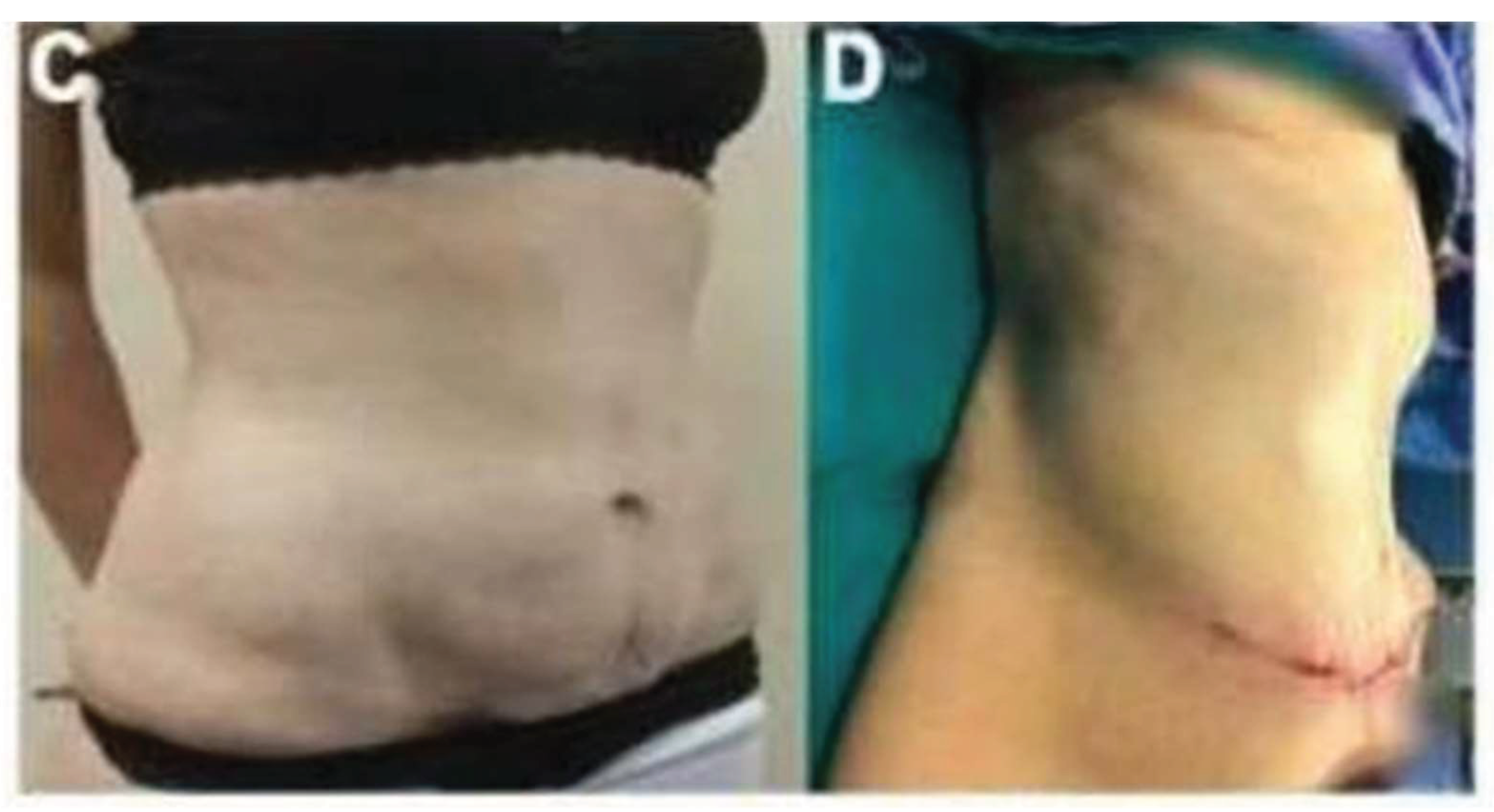 Preprints 164647 g003