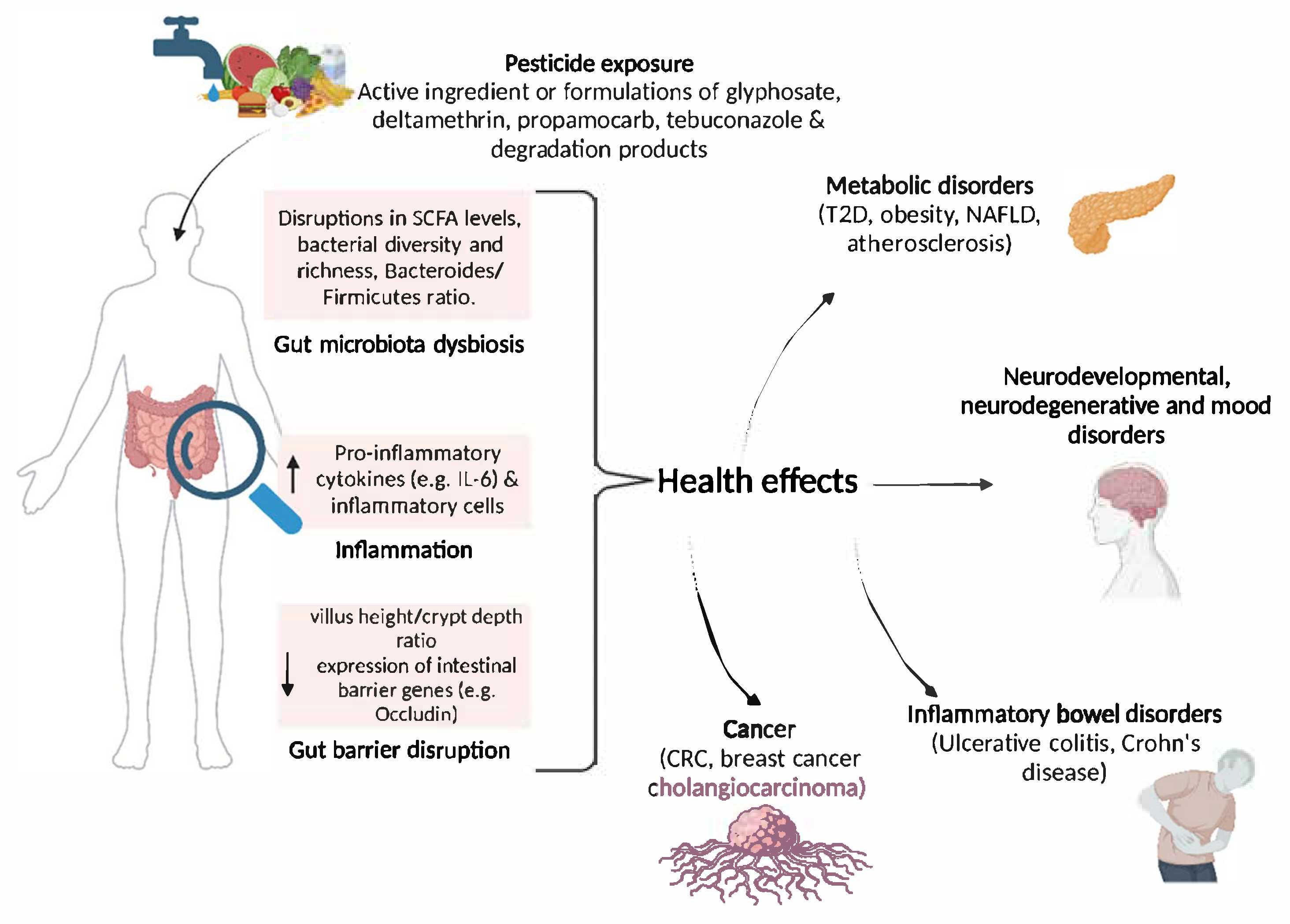 Preprints 163990 g001