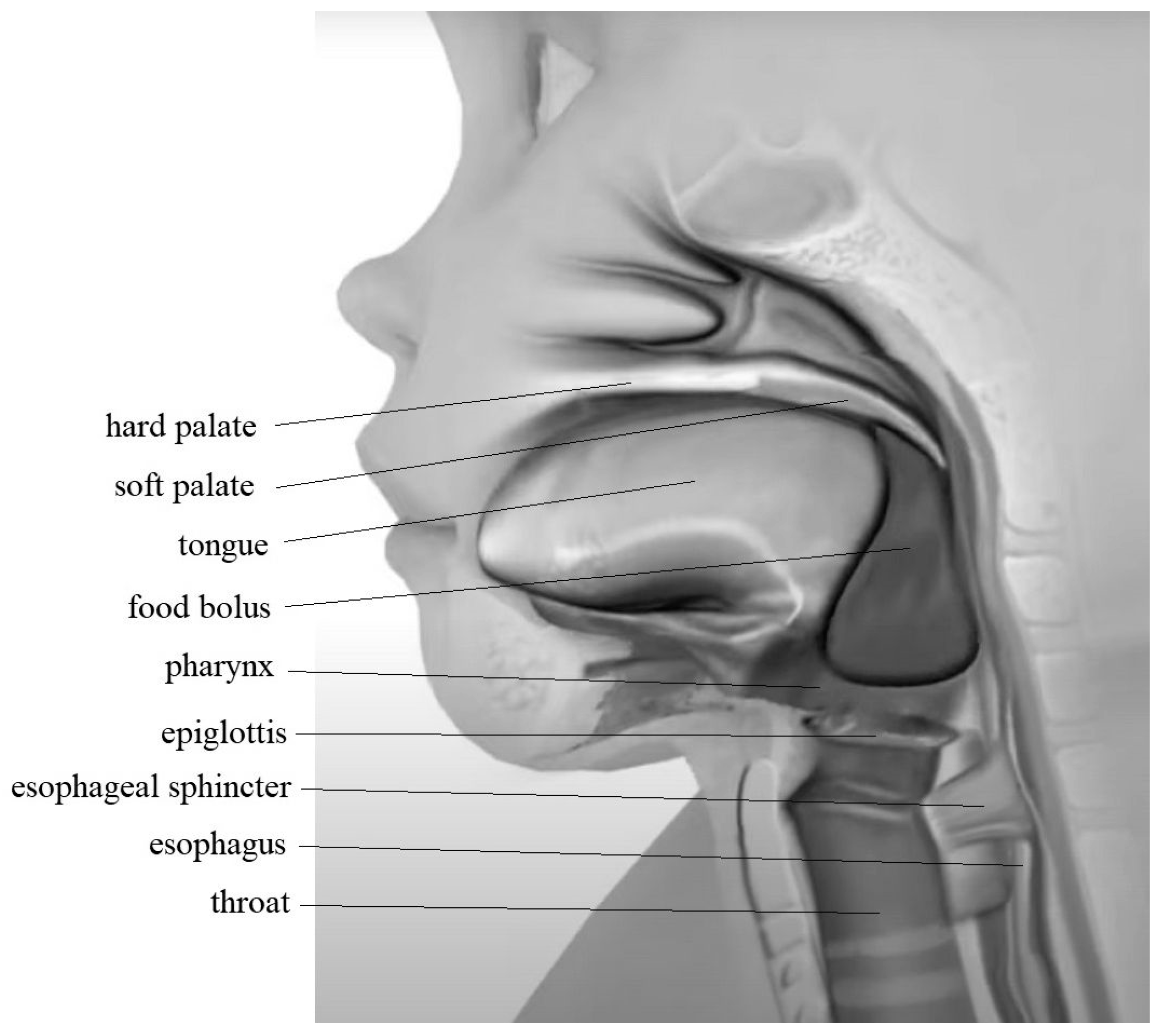 Preprints 156073 g001