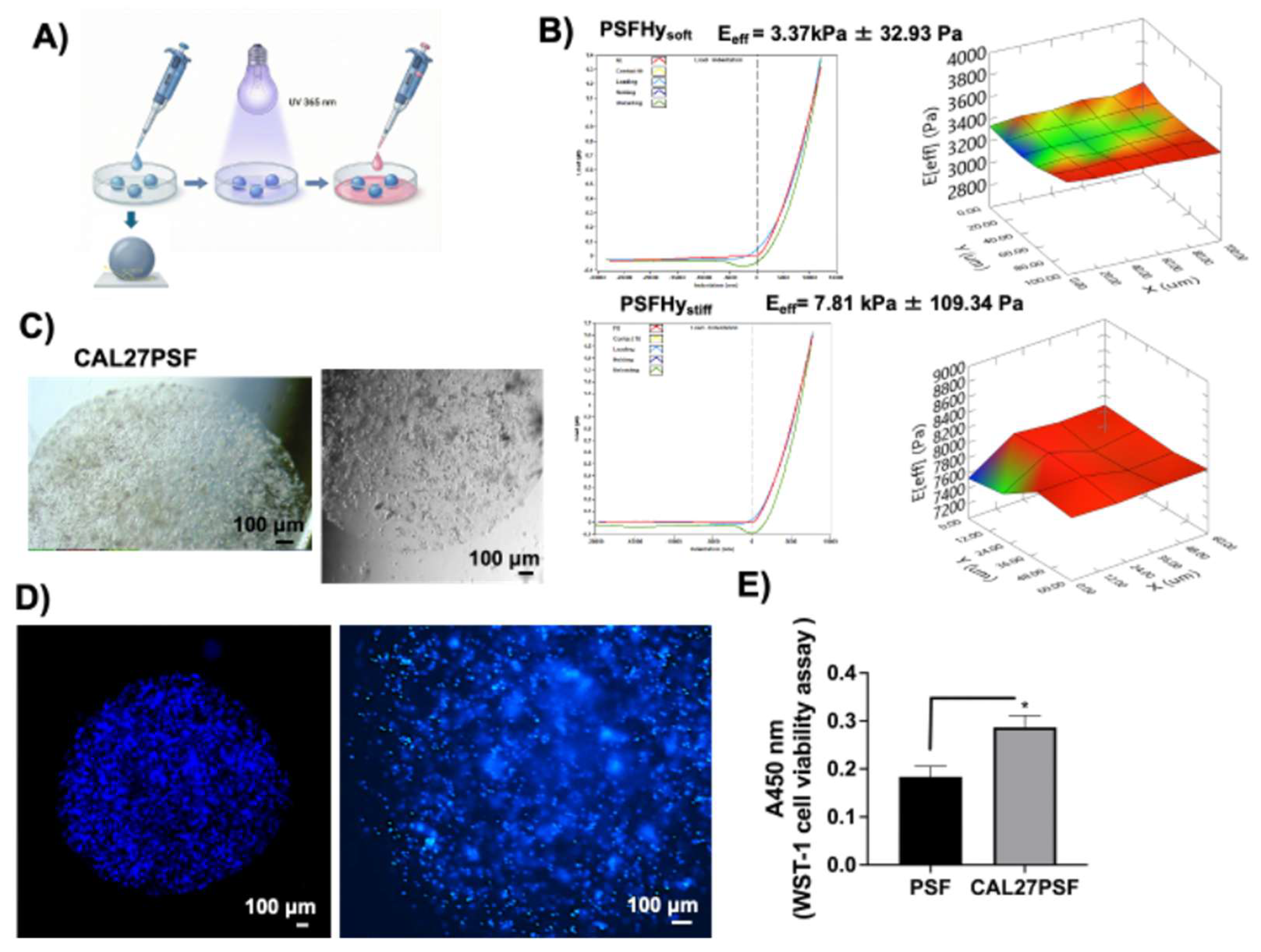 Preprints 196467 g003