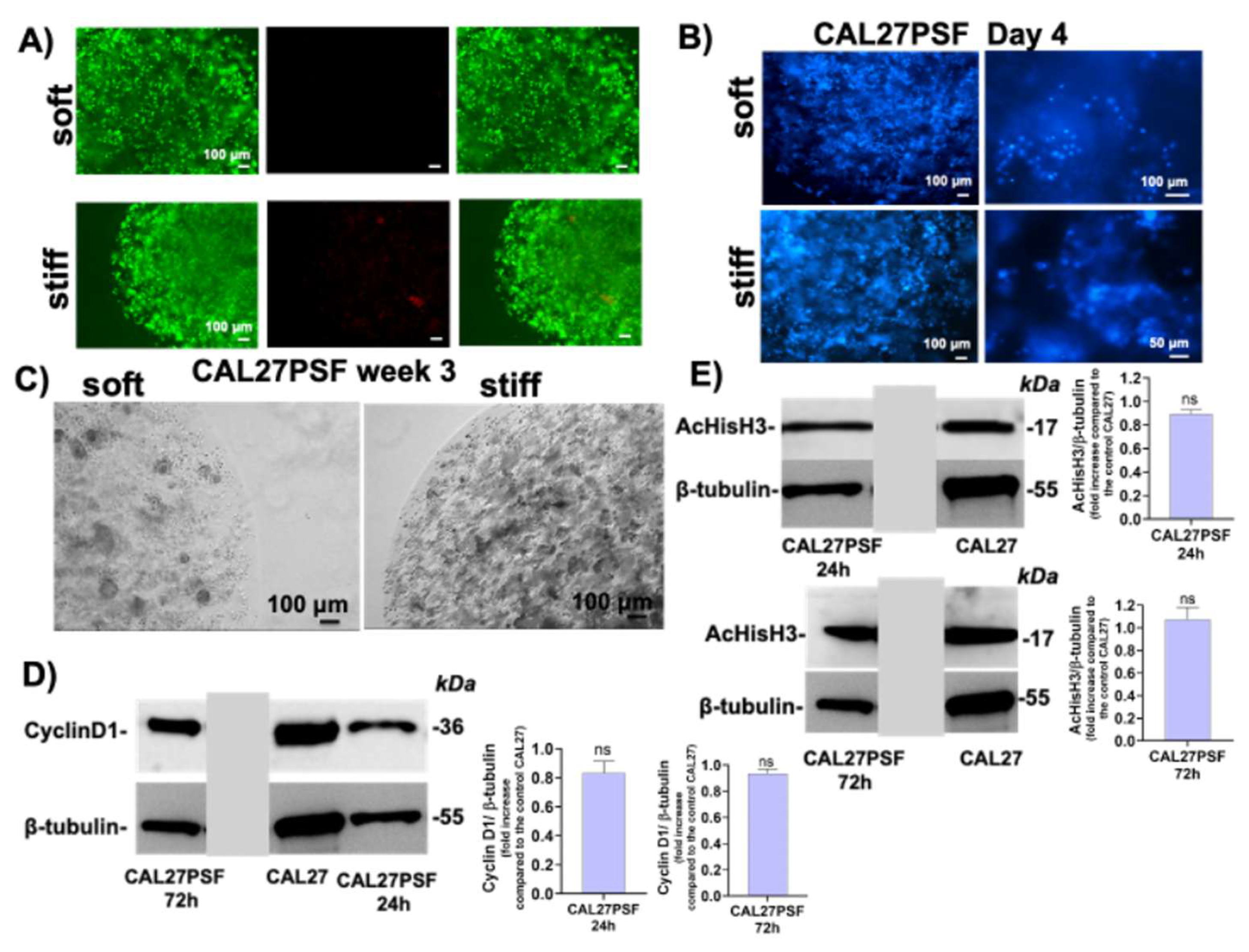 Preprints 196467 g004