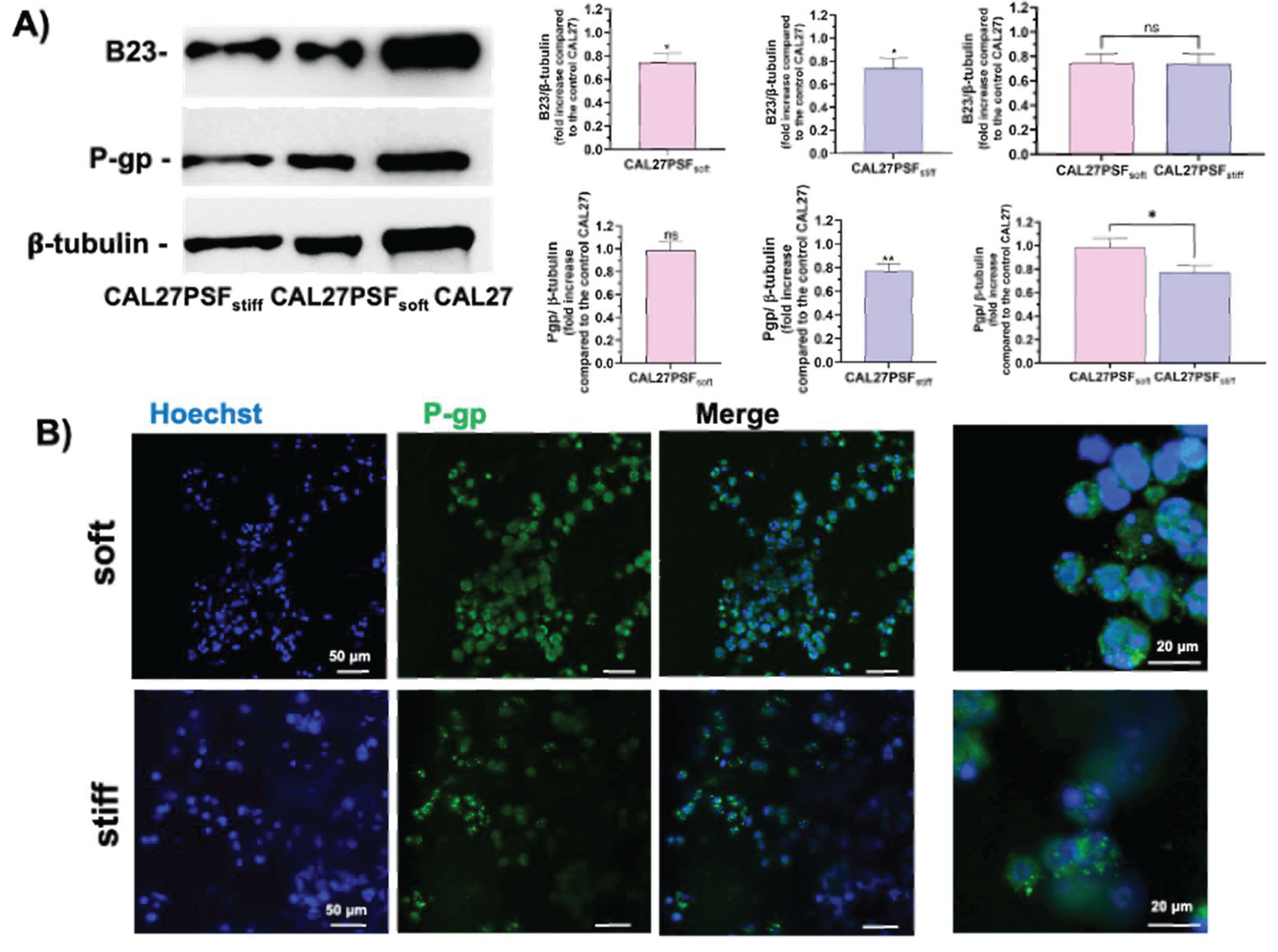 Preprints 196467 g007
