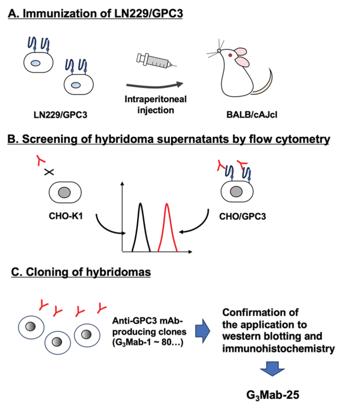 Preprints 182624 g001