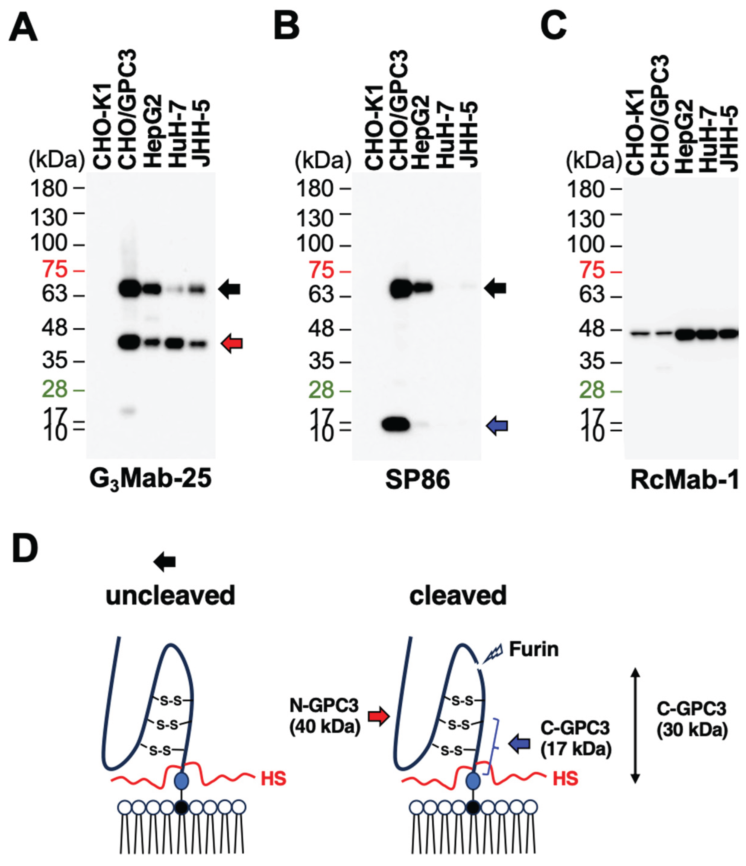 Preprints 182624 g006