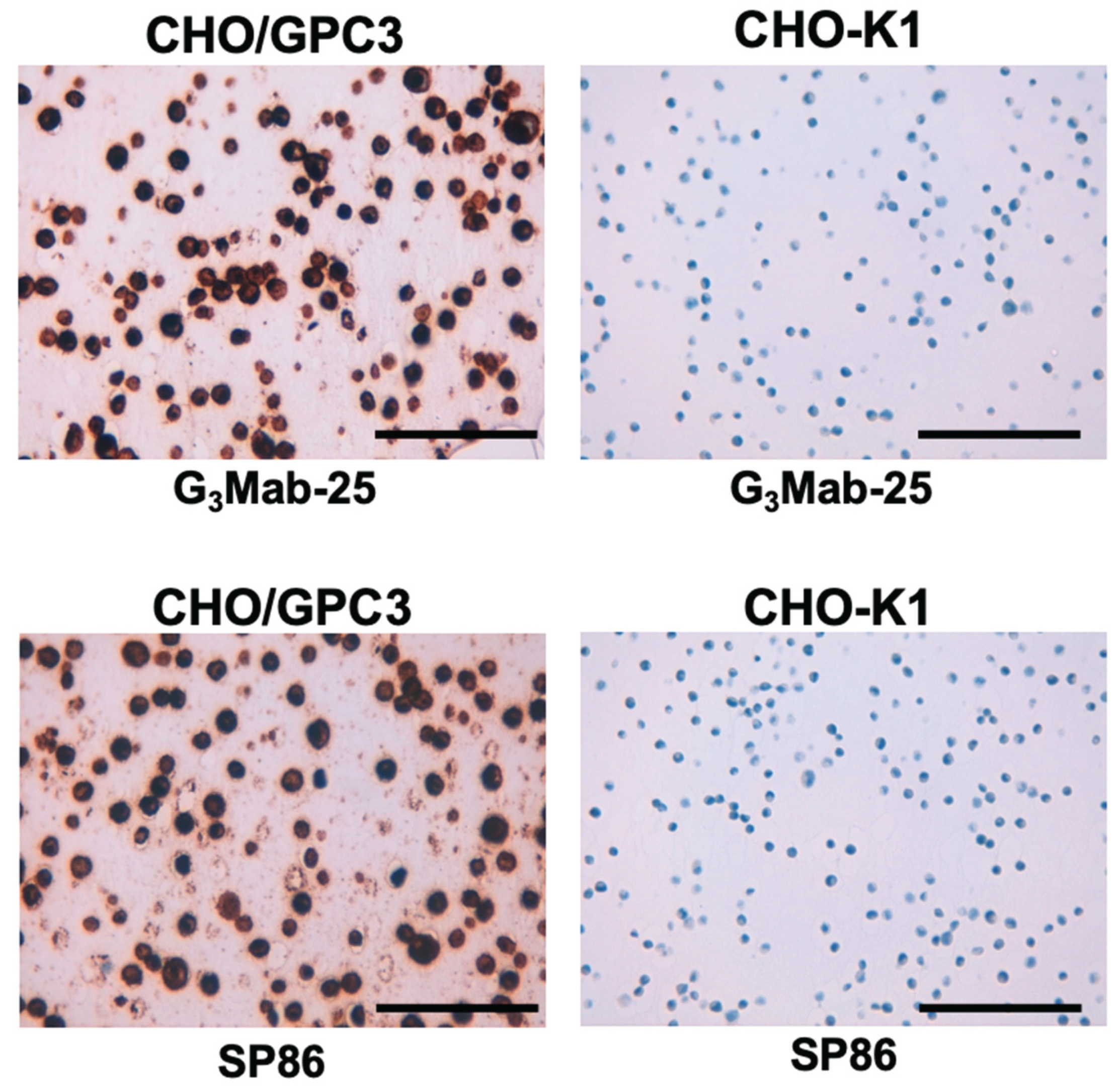 Preprints 182624 g007