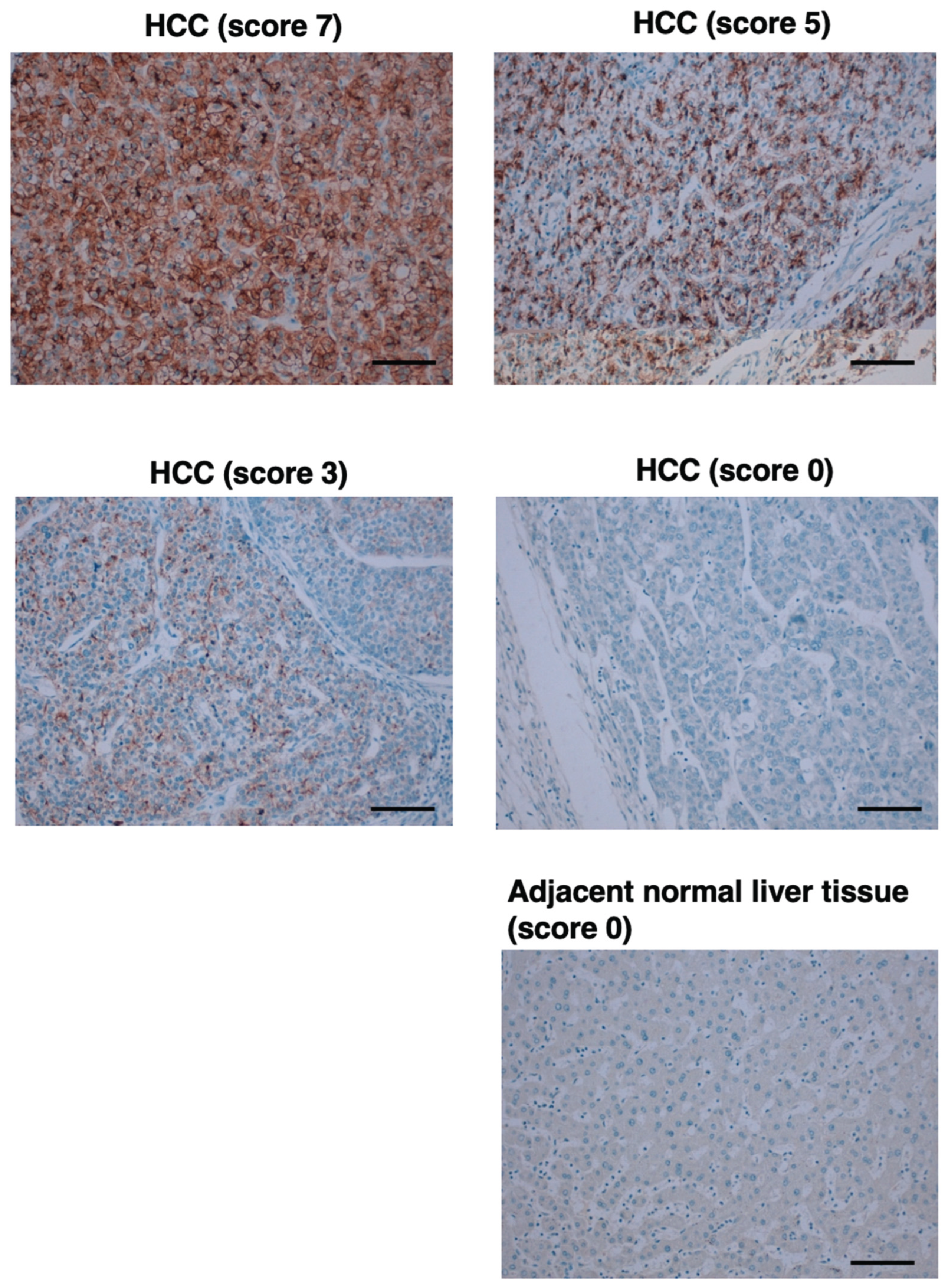 Preprints 182624 g008