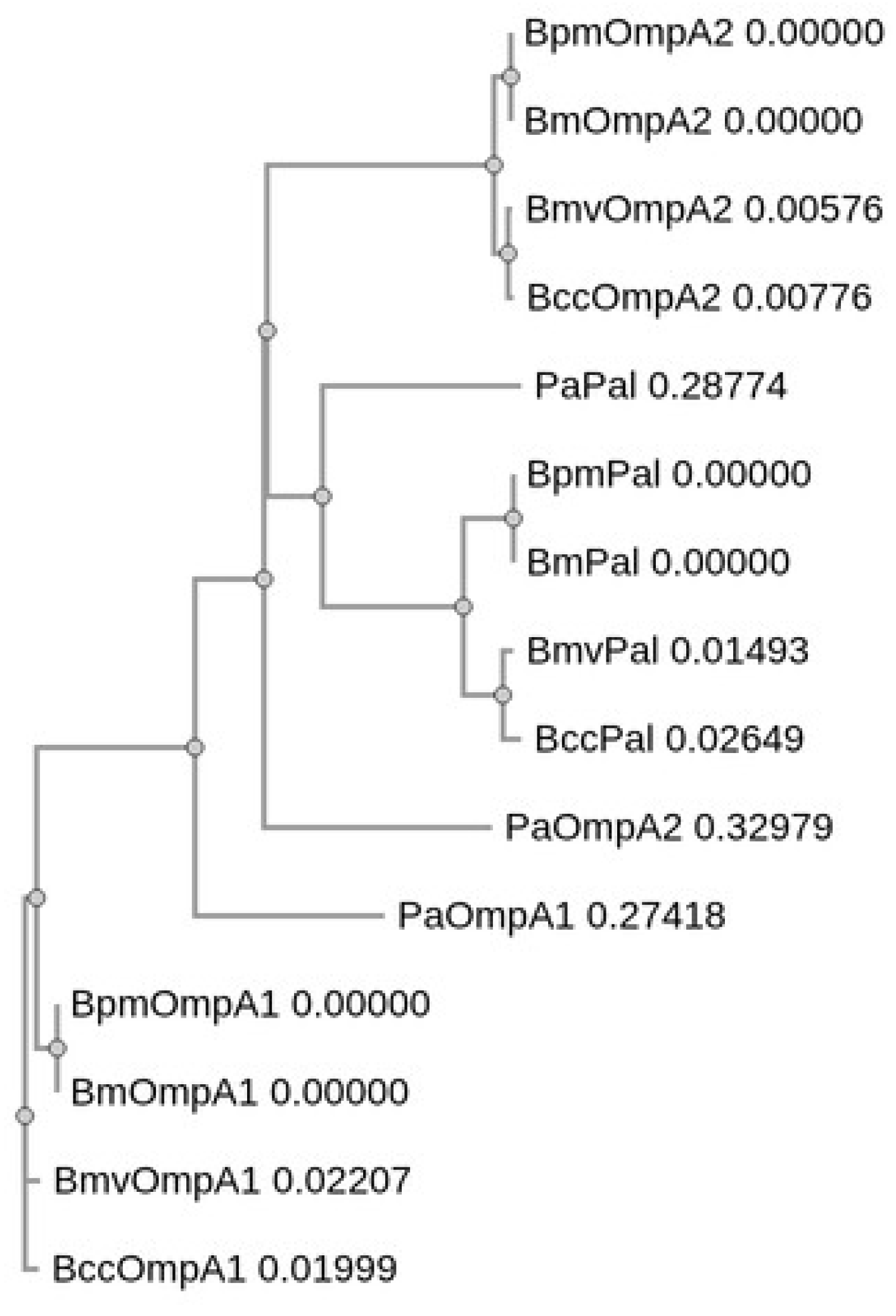 Preprints 190092 g001