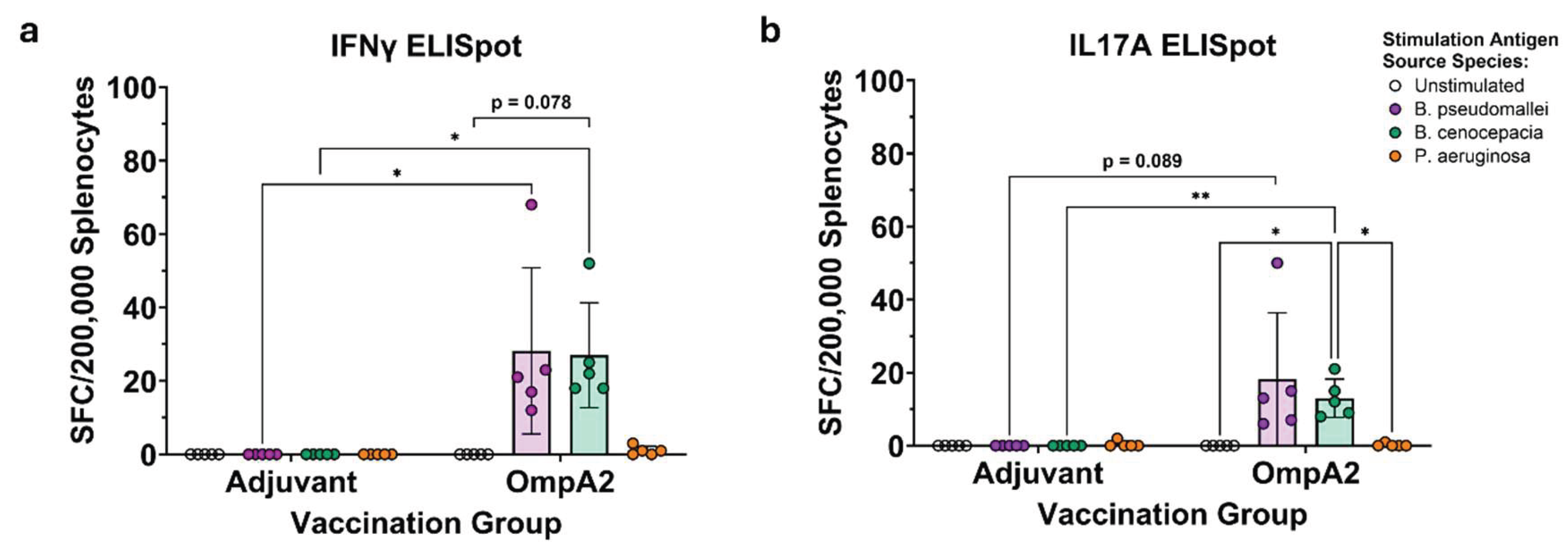 Preprints 190092 g006