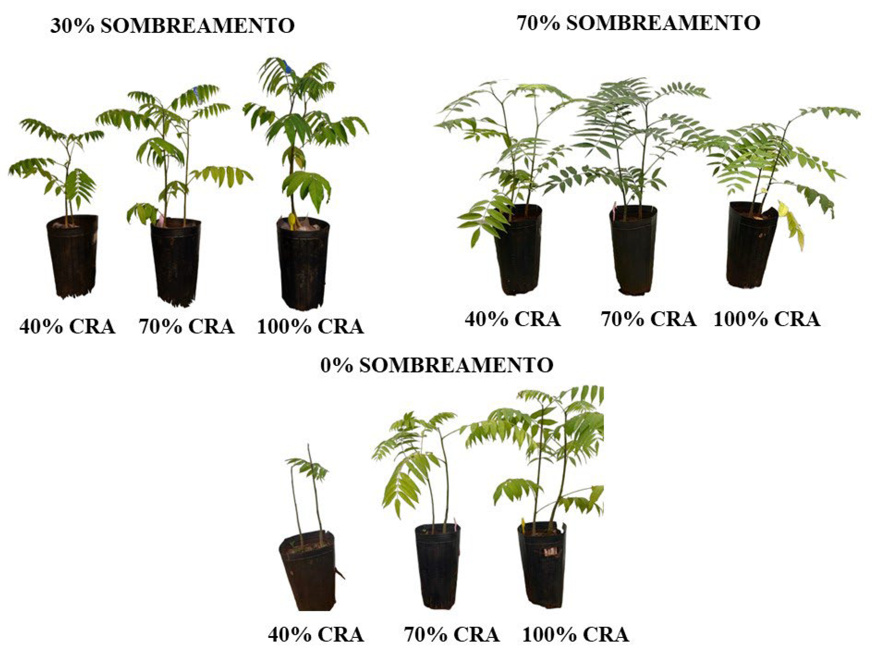 Preprints 104597 g001