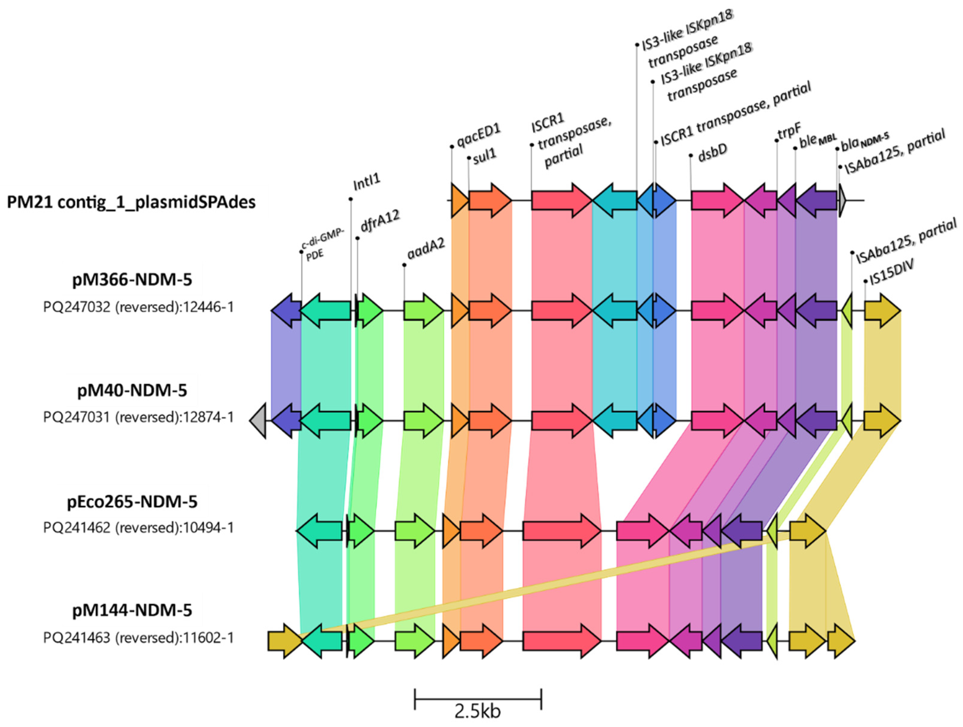 Preprints 155908 g002