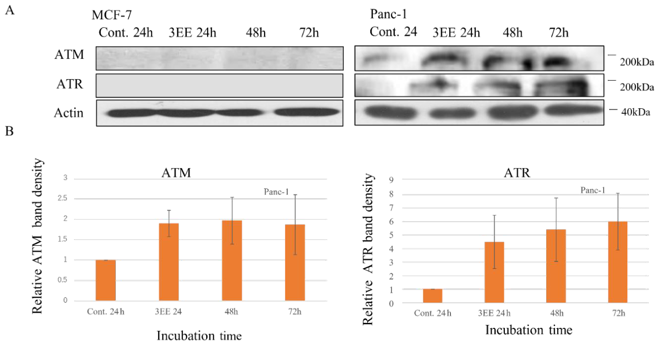 Preprints 221253 g002 Preprints 221253 g002