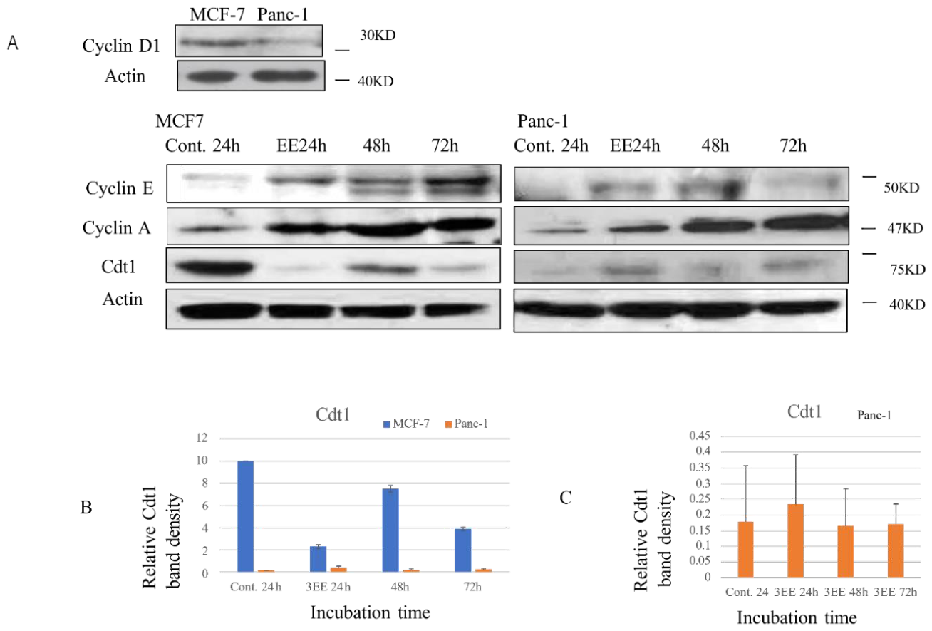 Preprints 221253 g003 Preprints 221253 g003