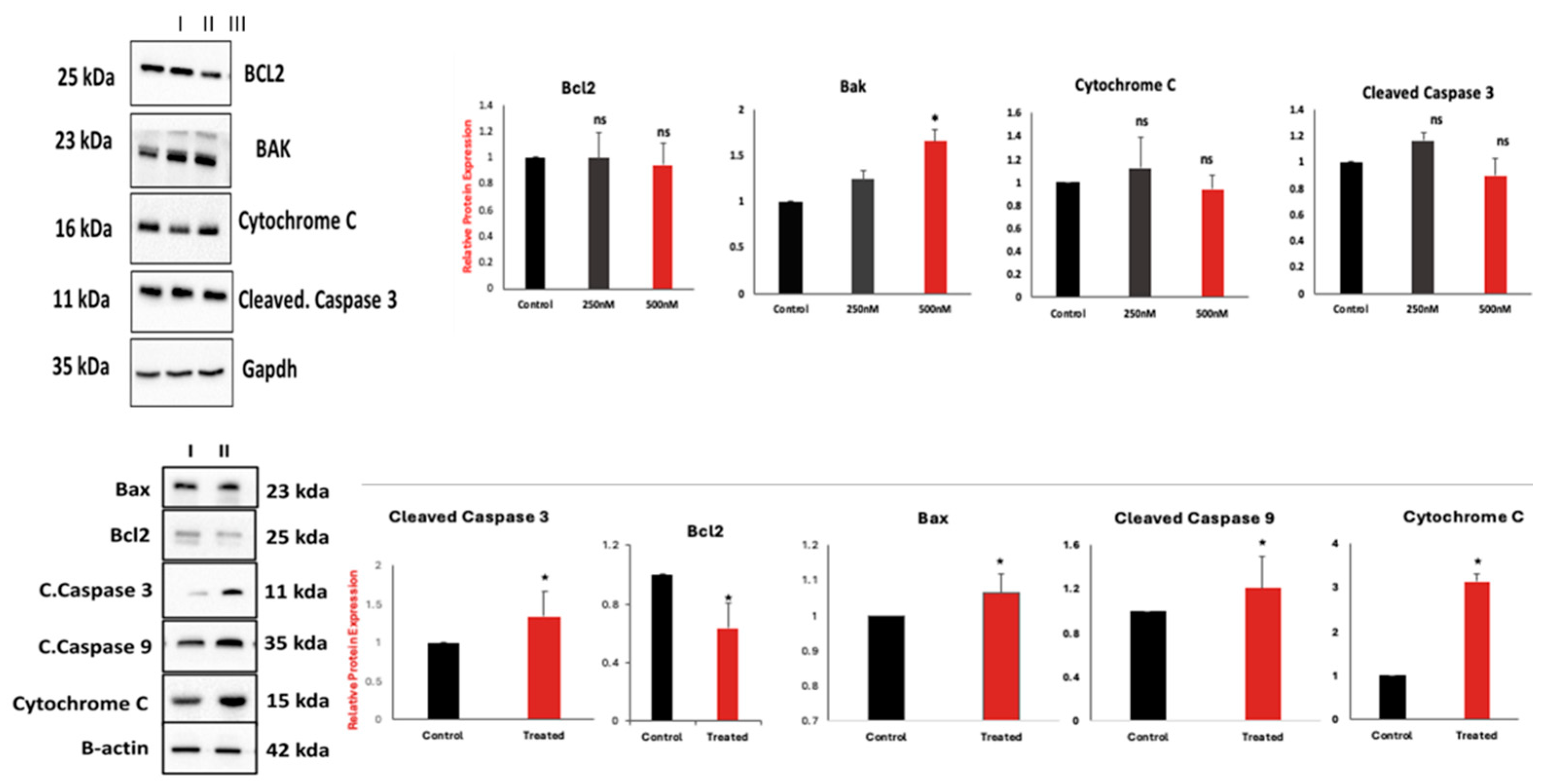 Preprints 146927 g004