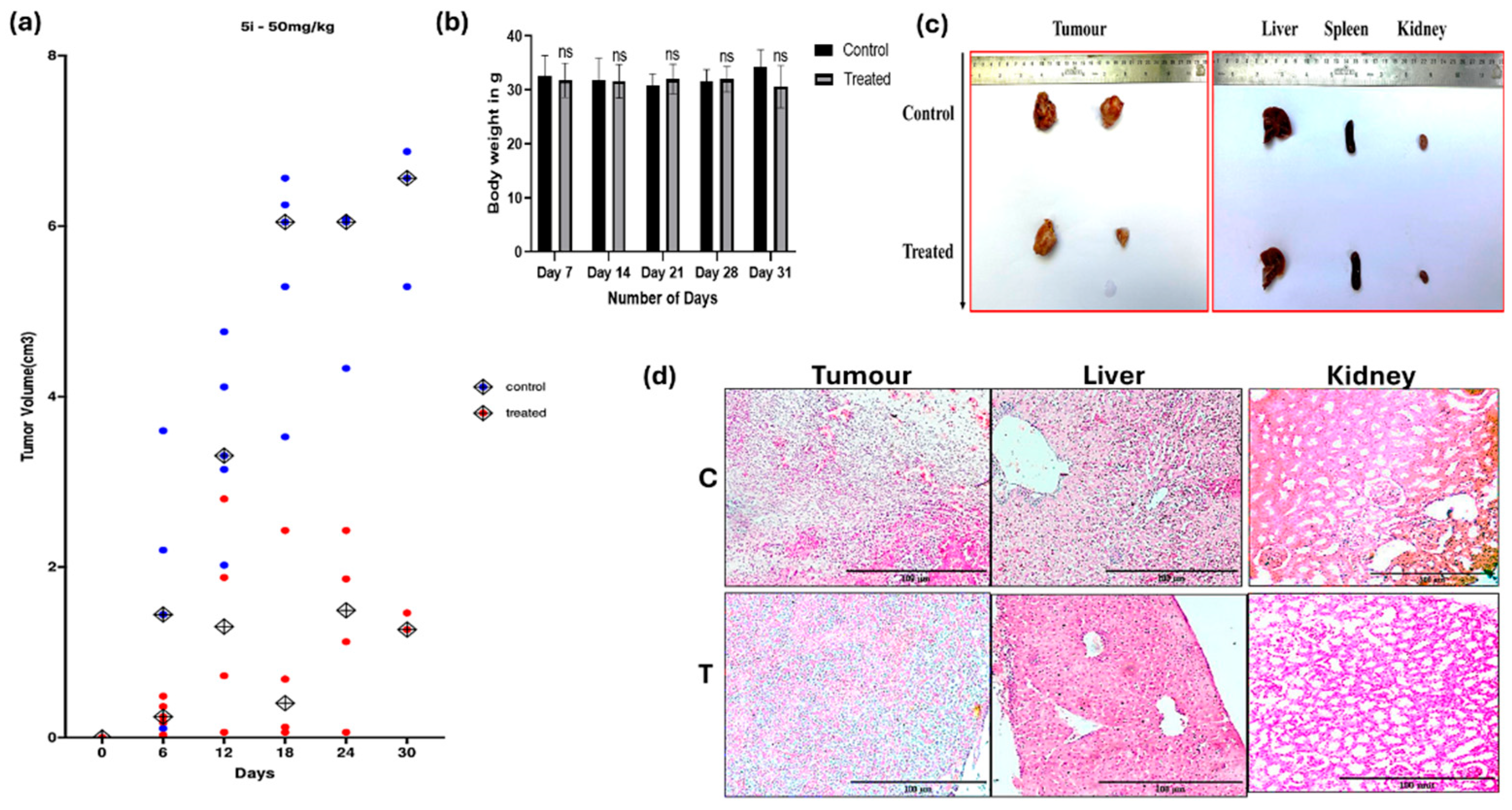 Preprints 146927 g005