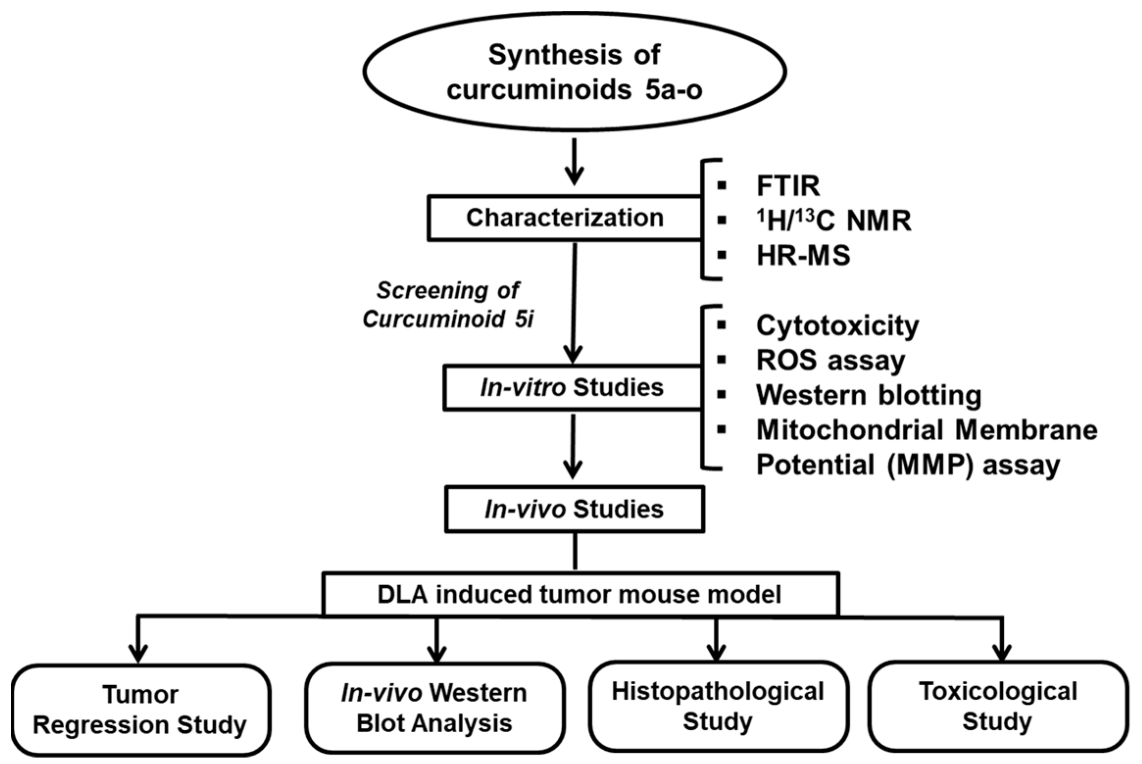 Preprints 146927 g006
