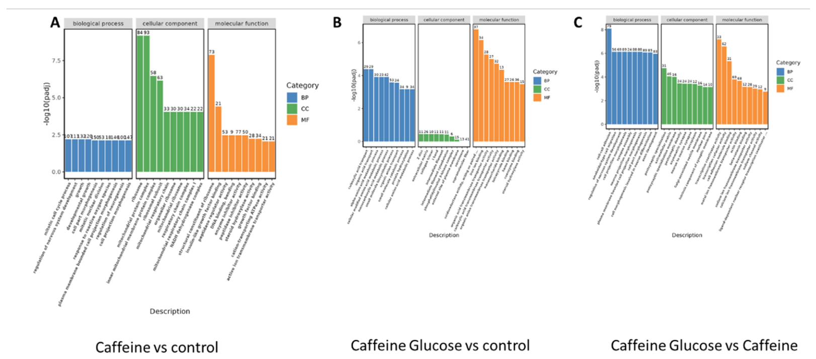 Preprints 223070 g006
