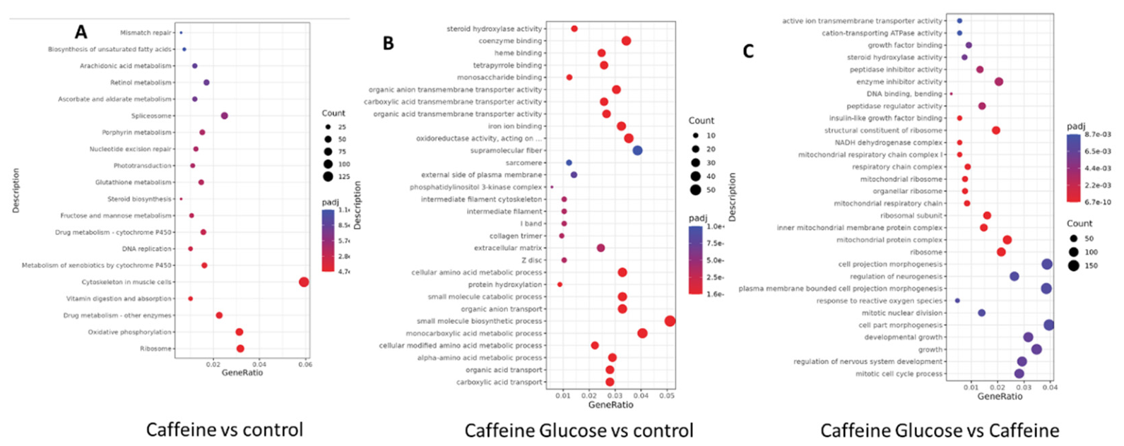 Preprints 223070 g007