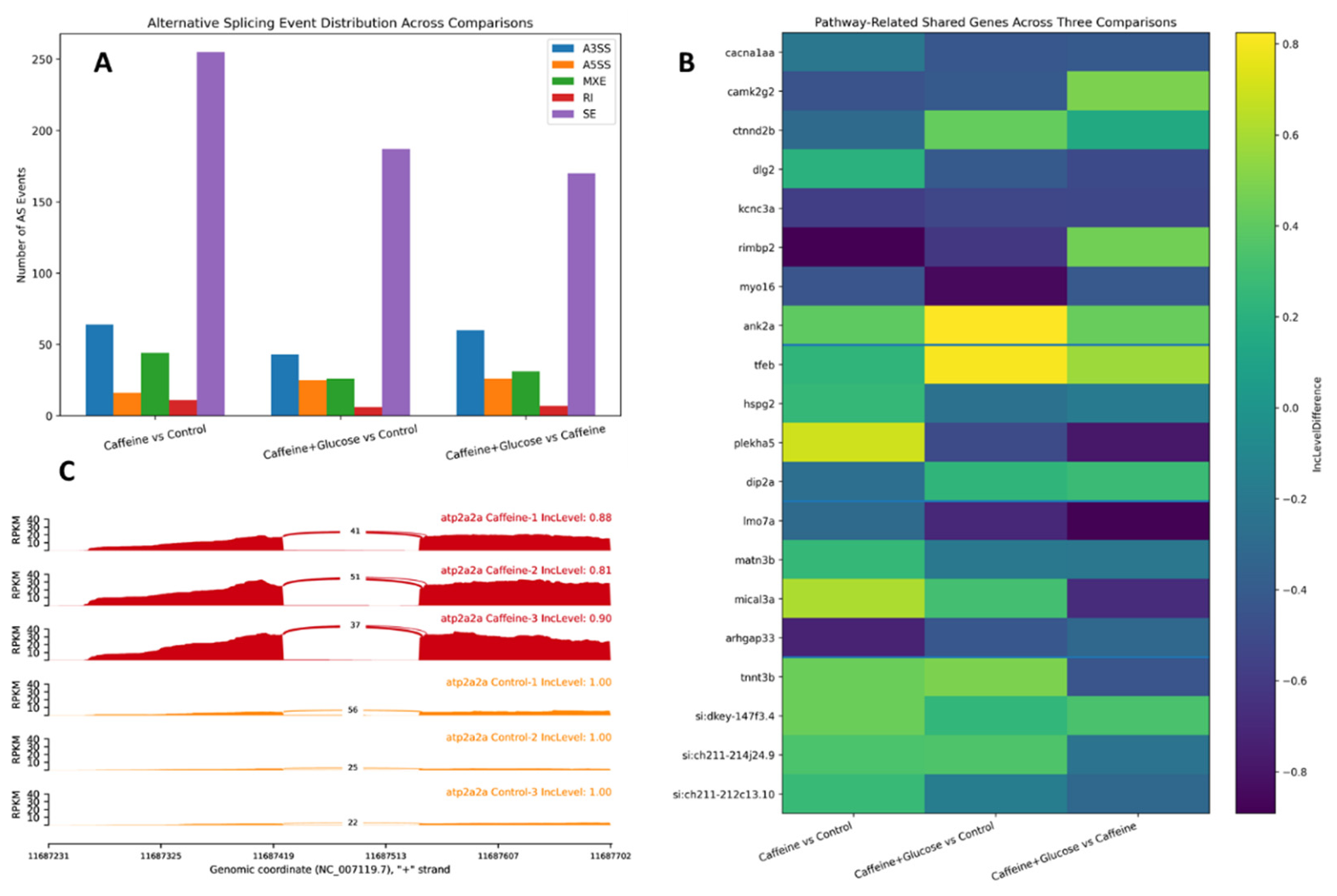 Preprints 223070 g008