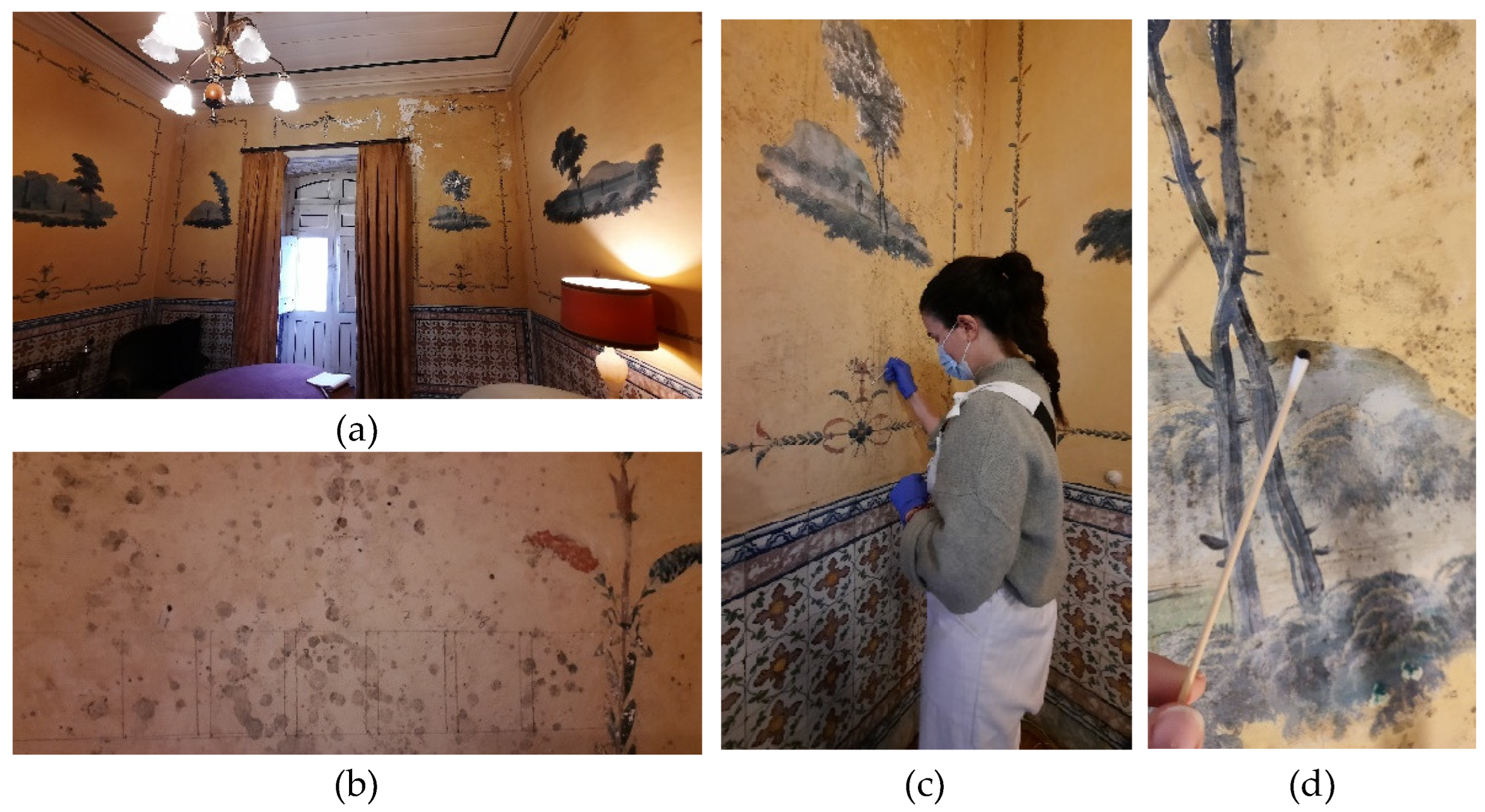 Preprints 140173 g002