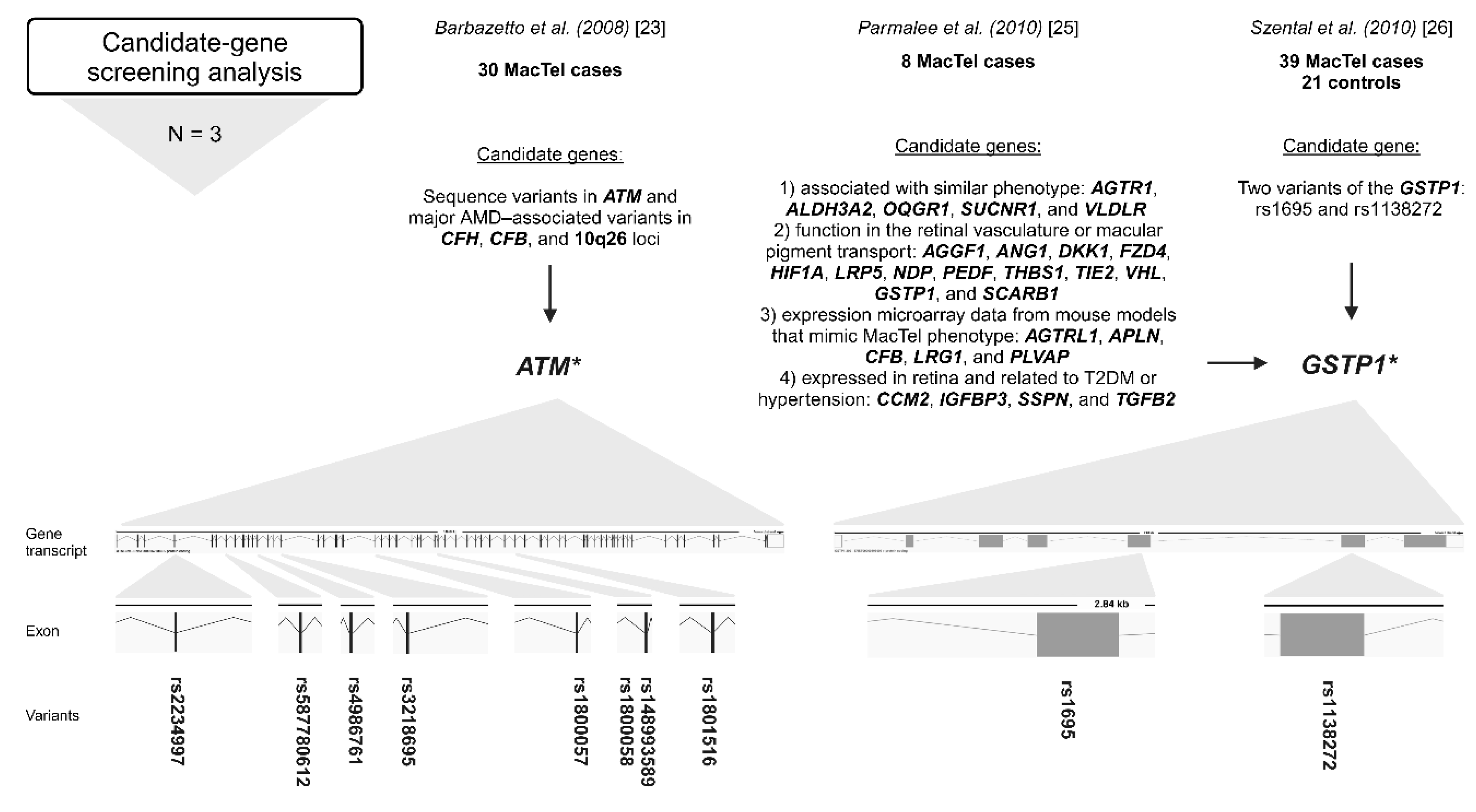 Preprints 140764 g002