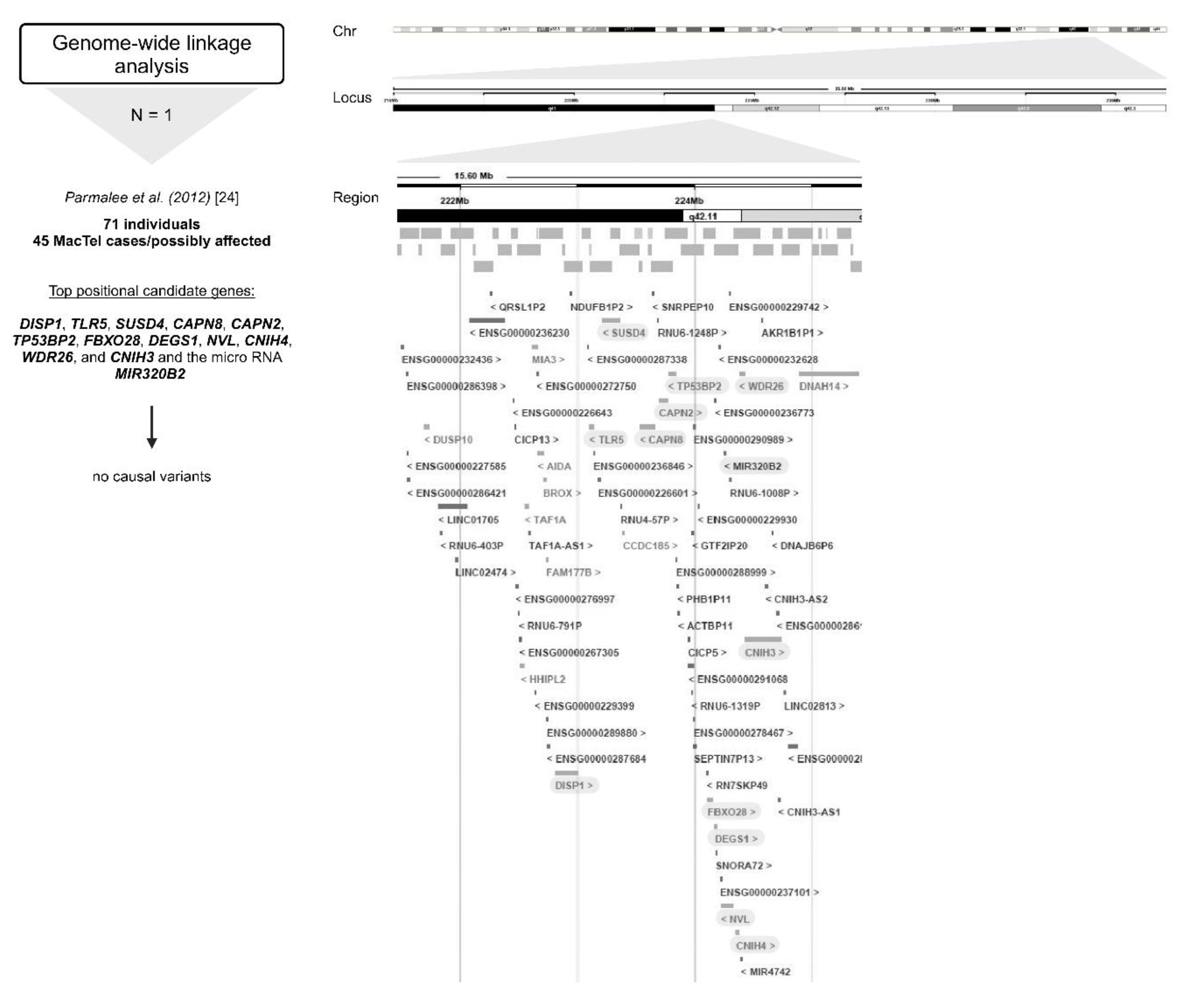 Preprints 140764 g003