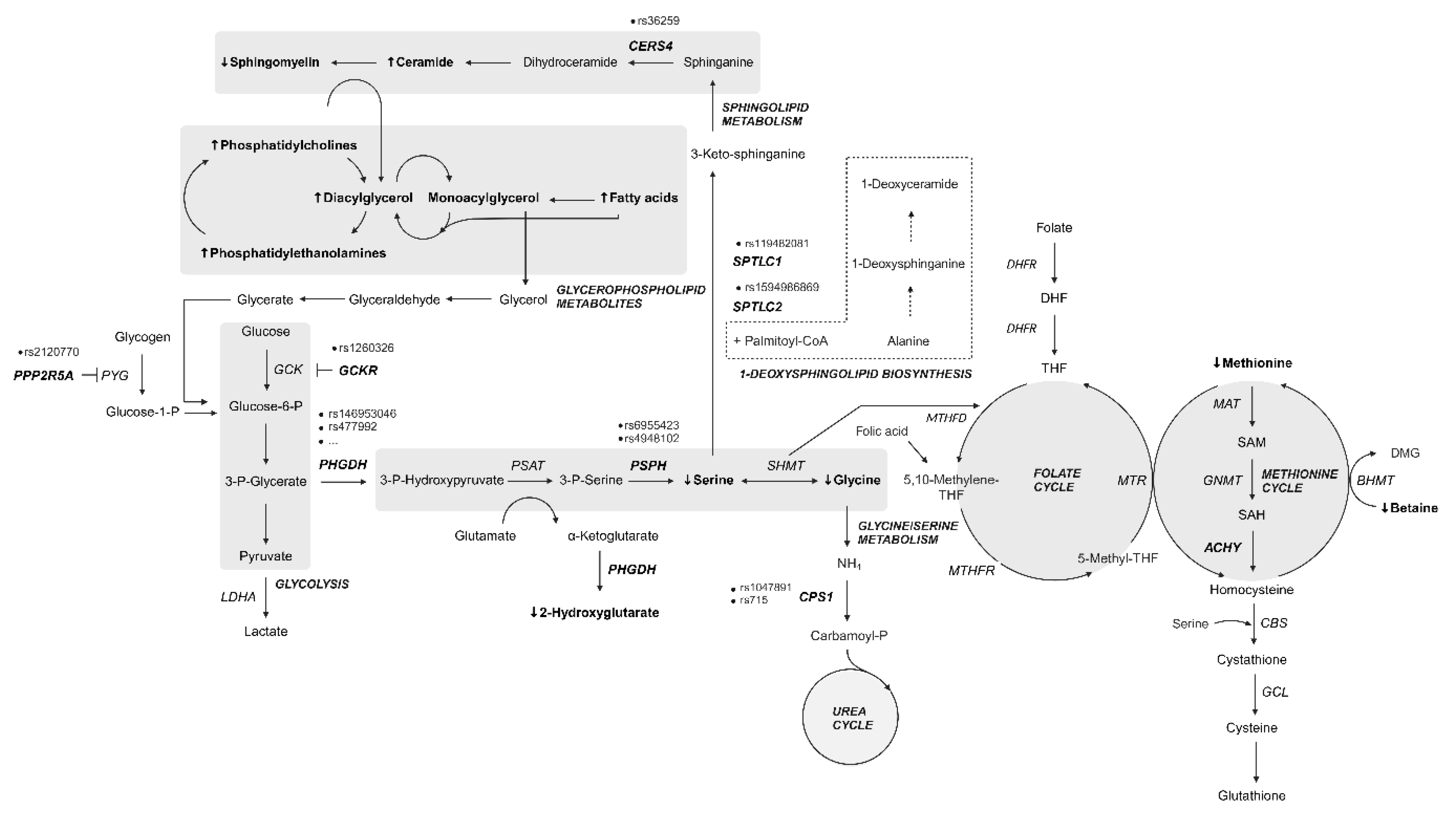 Preprints 140764 g005