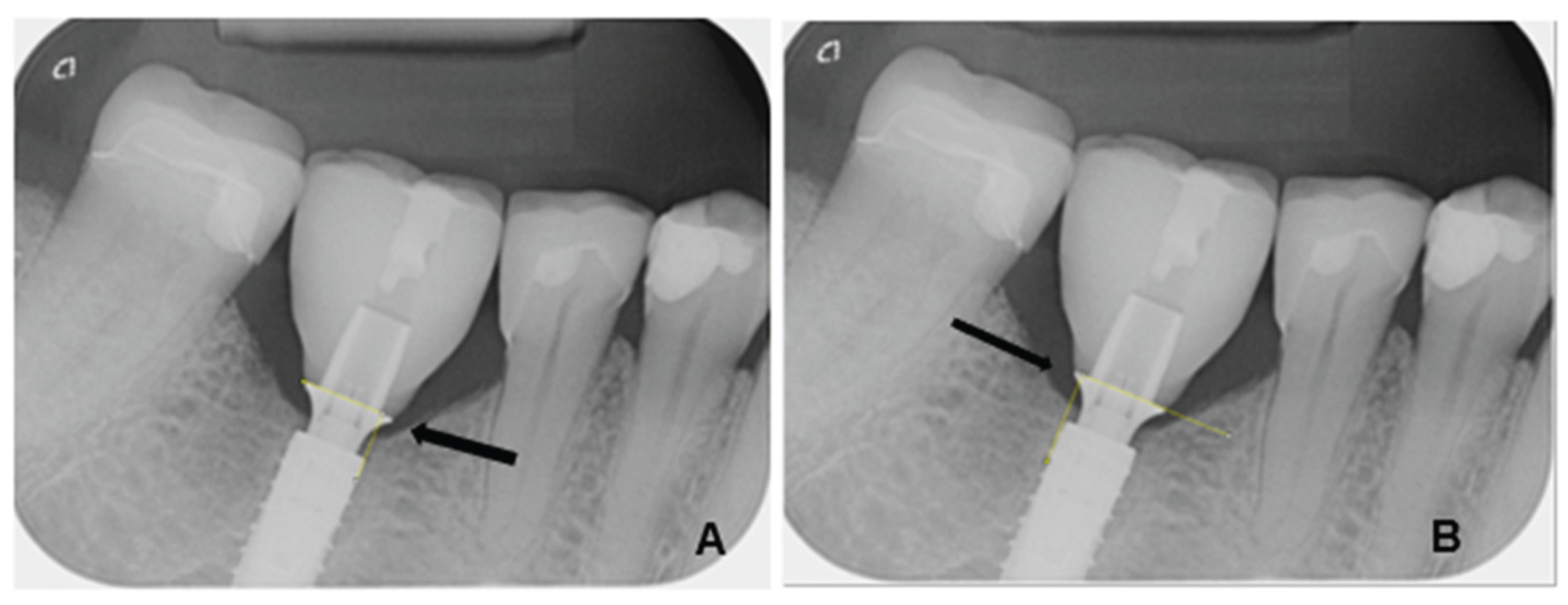 Preprints 169940 g001