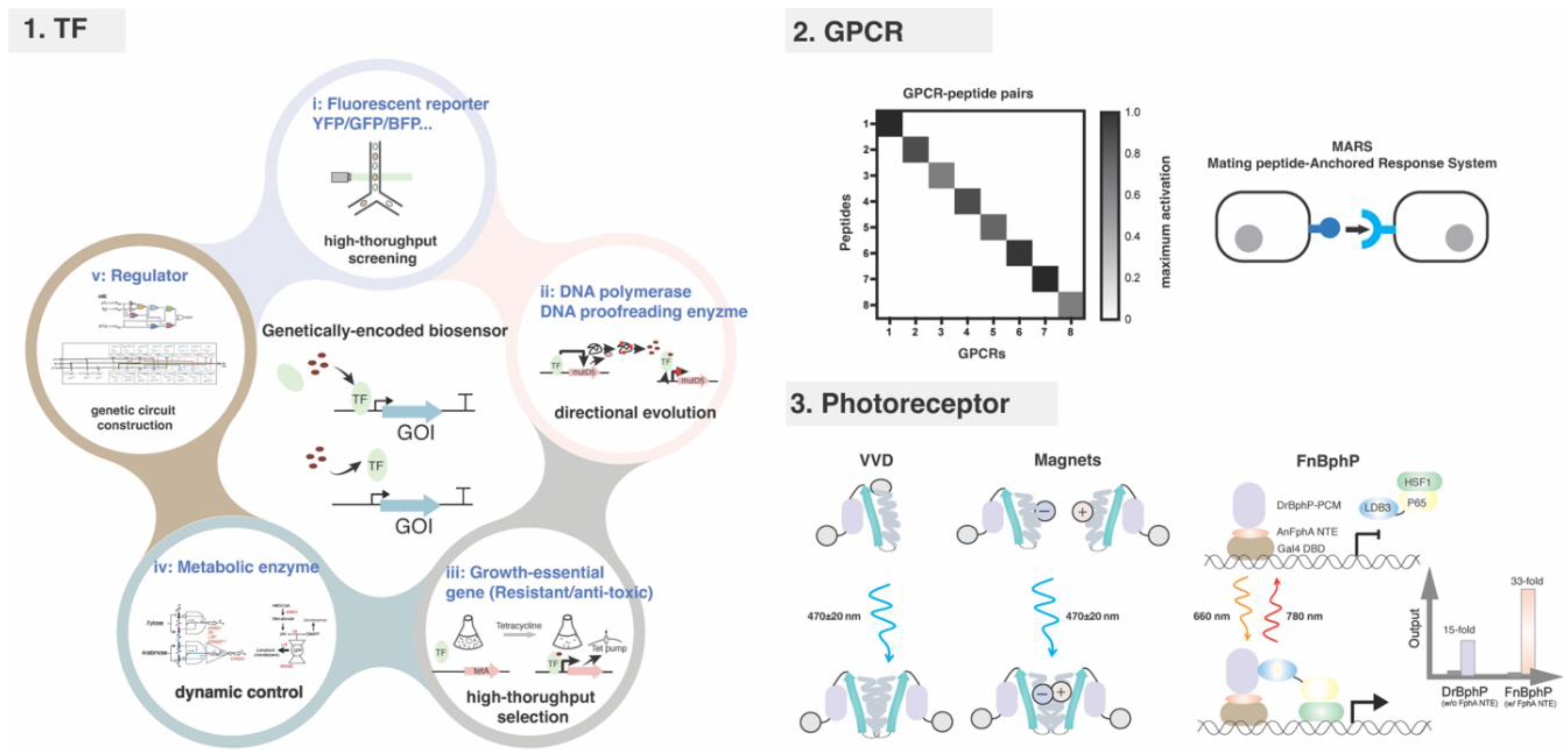 Preprints 194286 g001