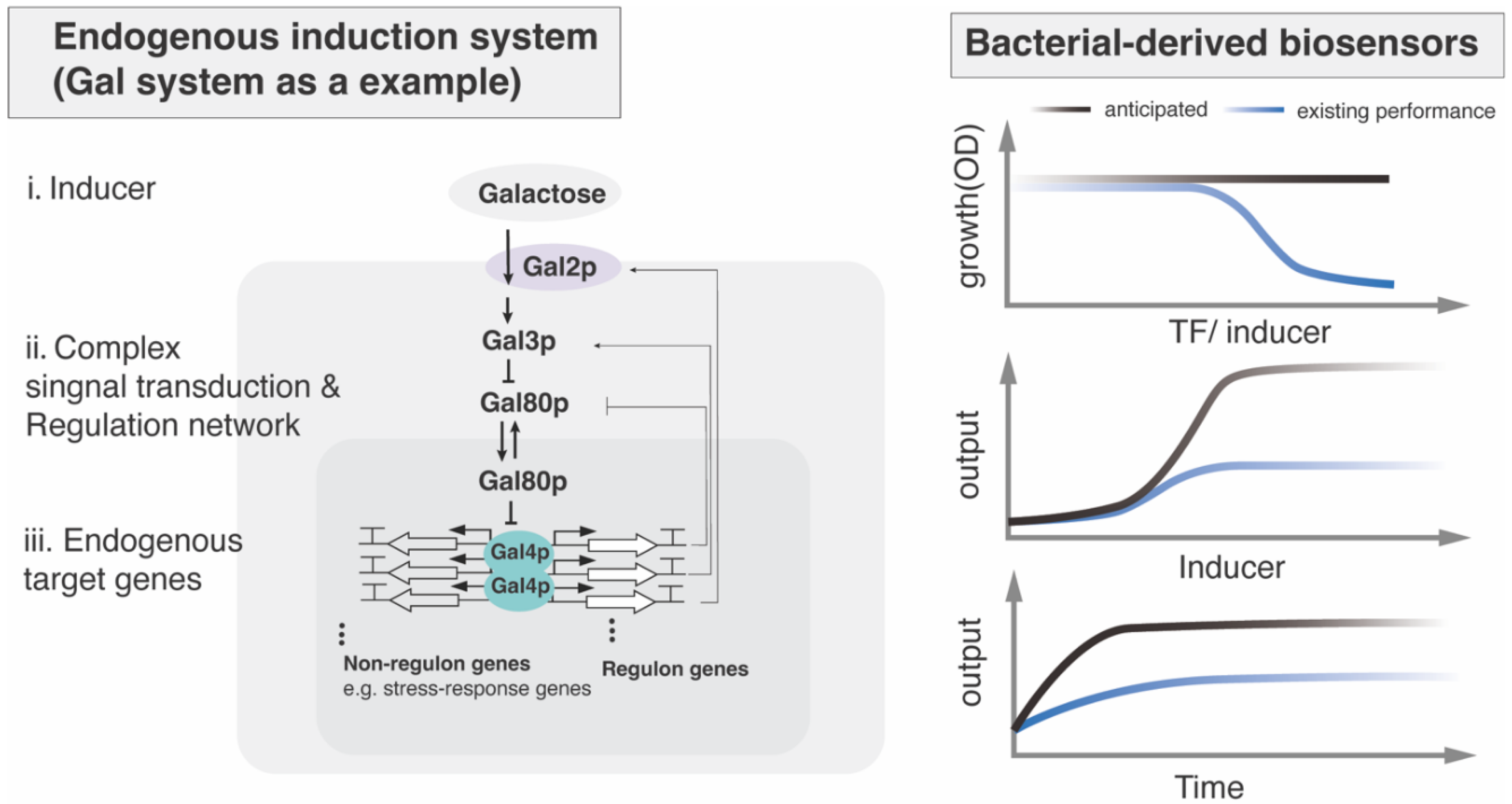Preprints 194286 g002