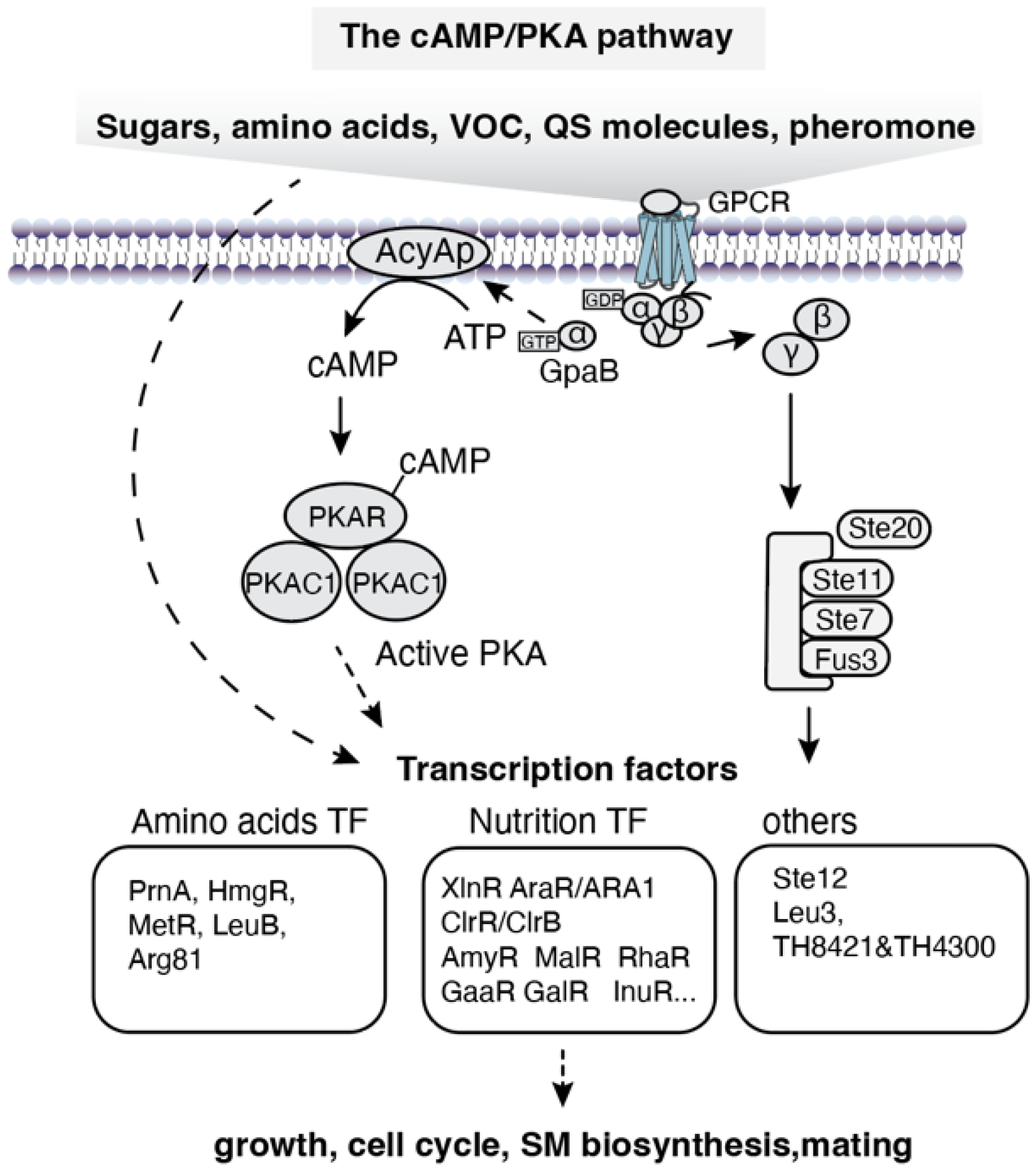 Preprints 194286 g003