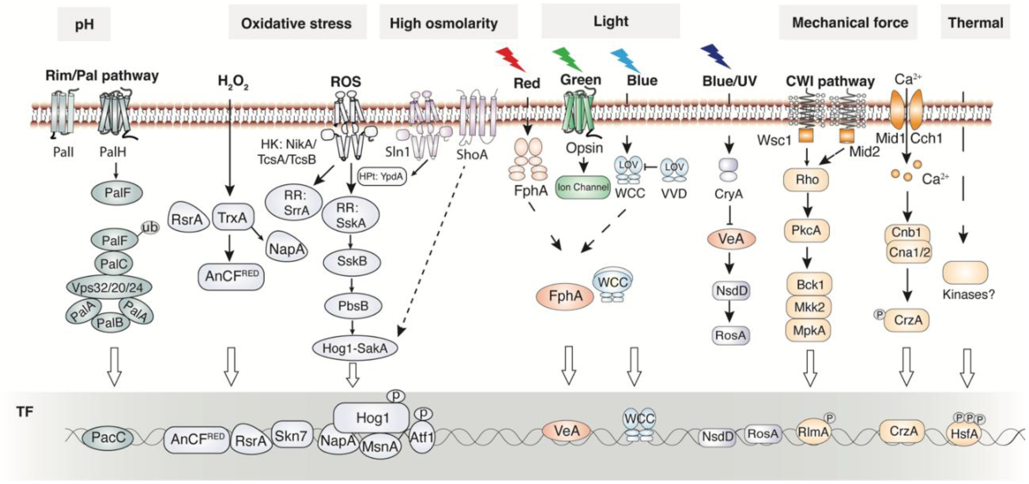Preprints 194286 g004