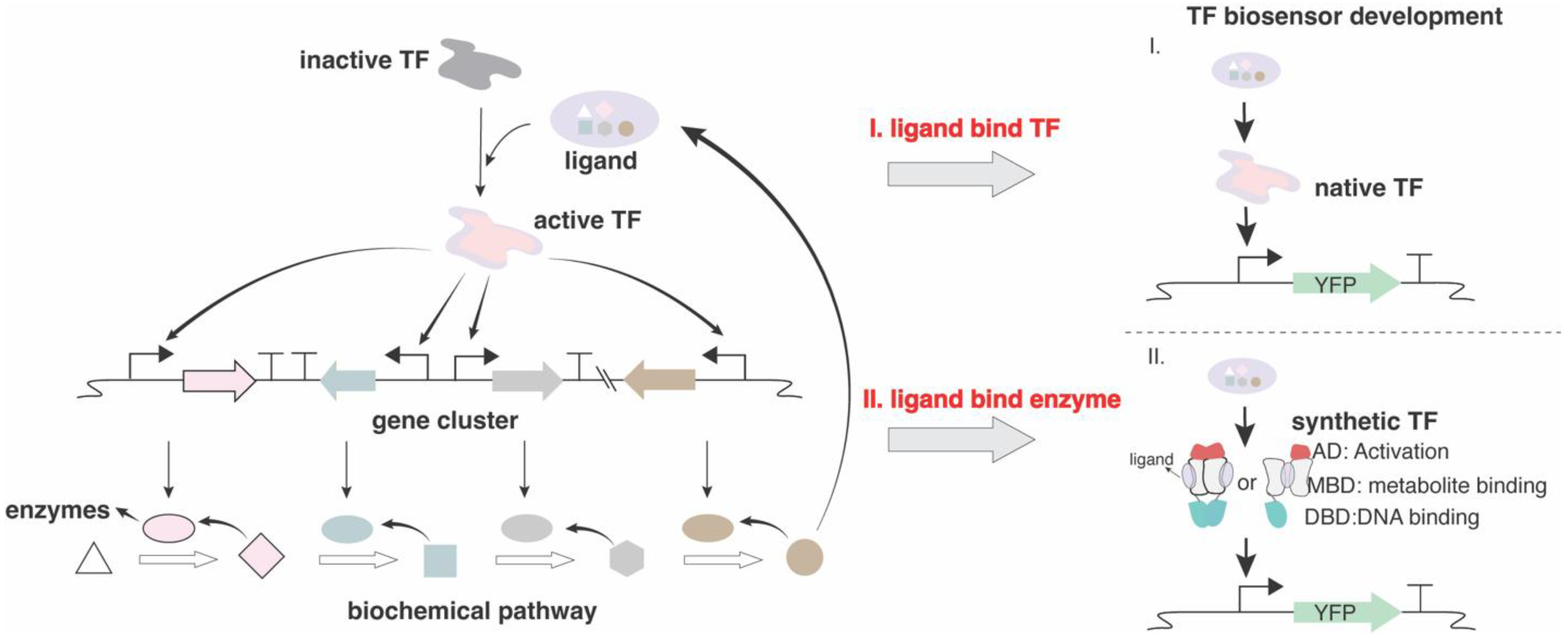 Preprints 194286 g005