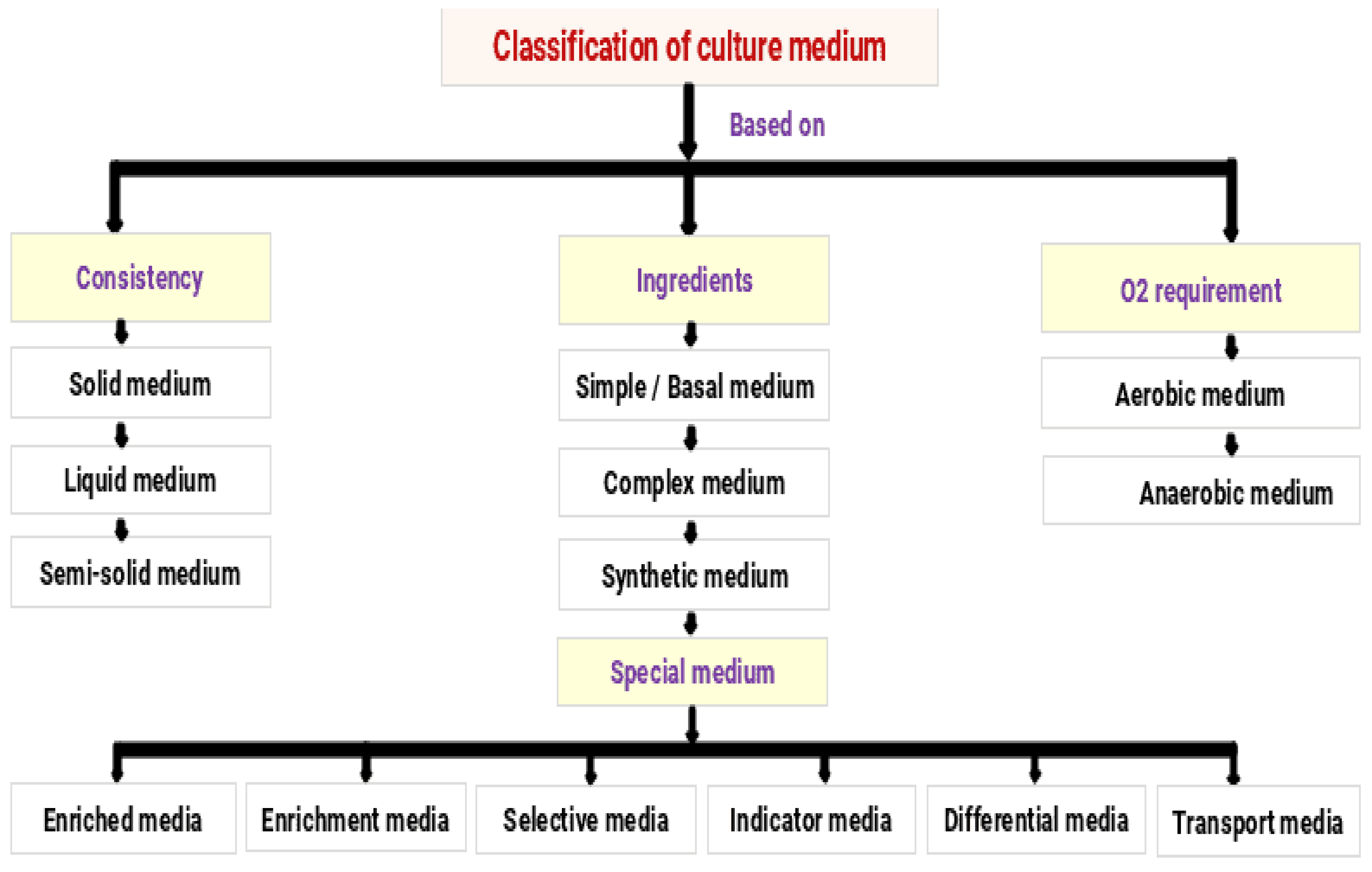 Preprints 196125 g003
