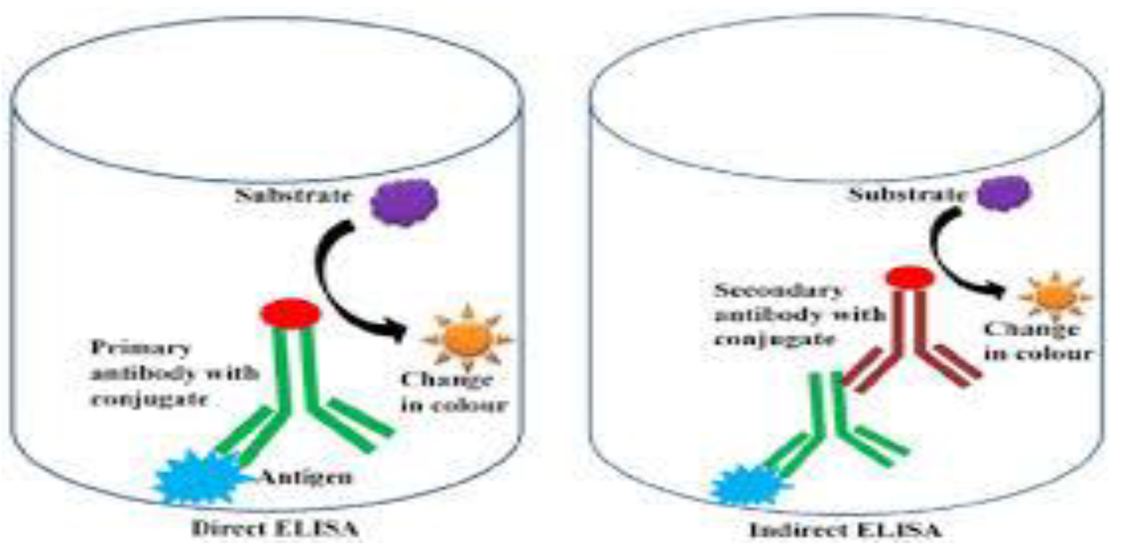 Preprints 196125 g004