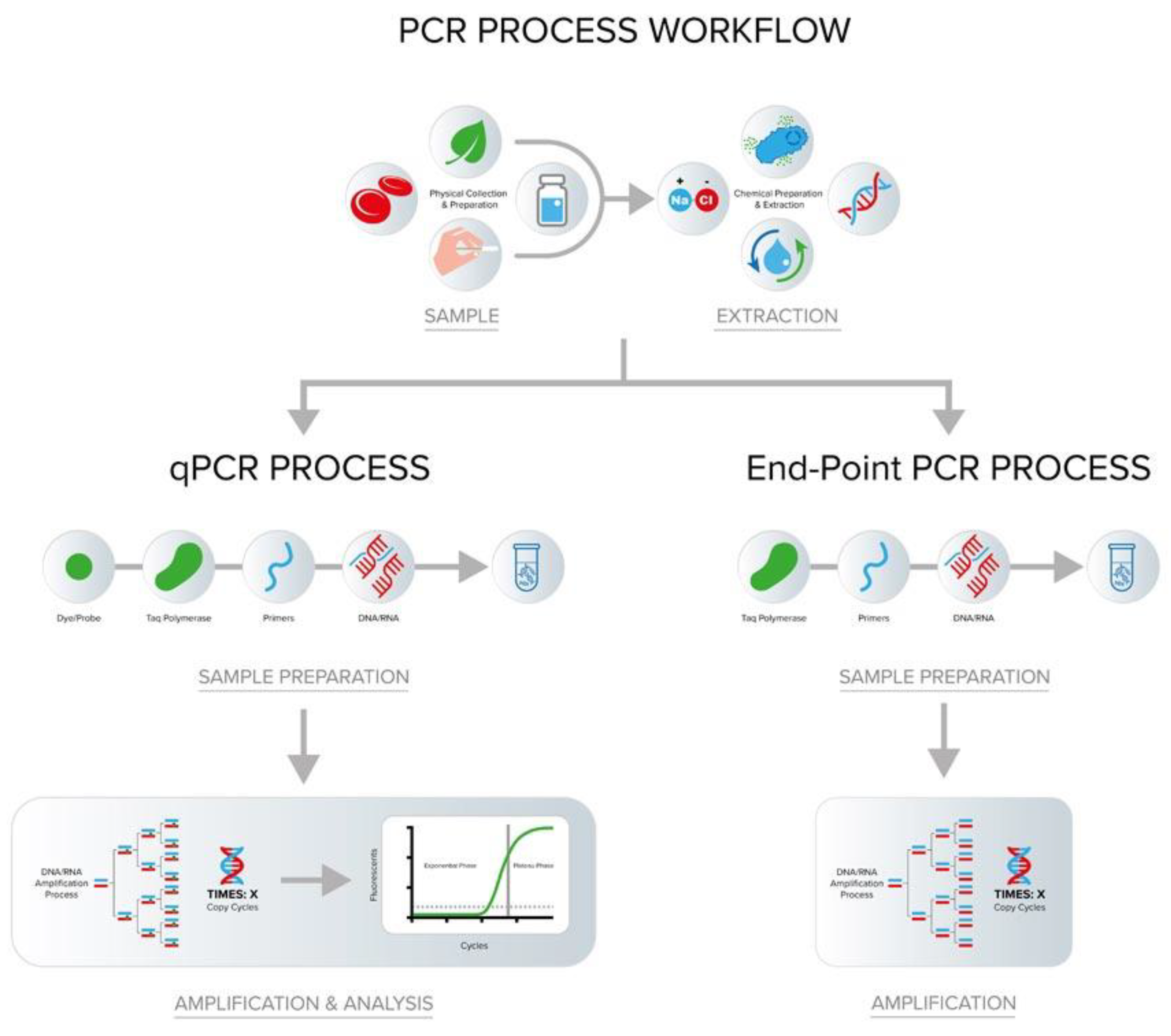 Preprints 196125 g005