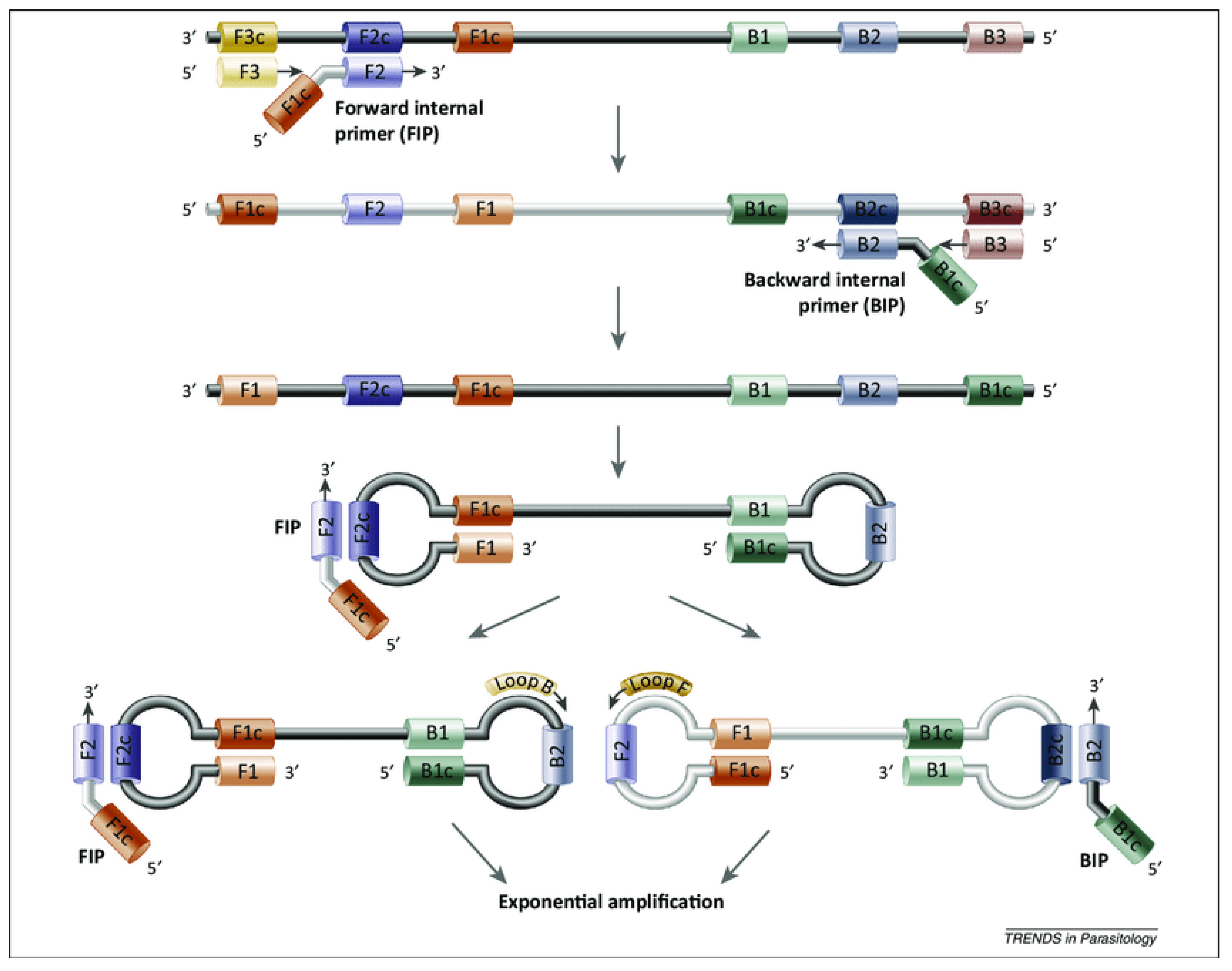 Preprints 196125 g006