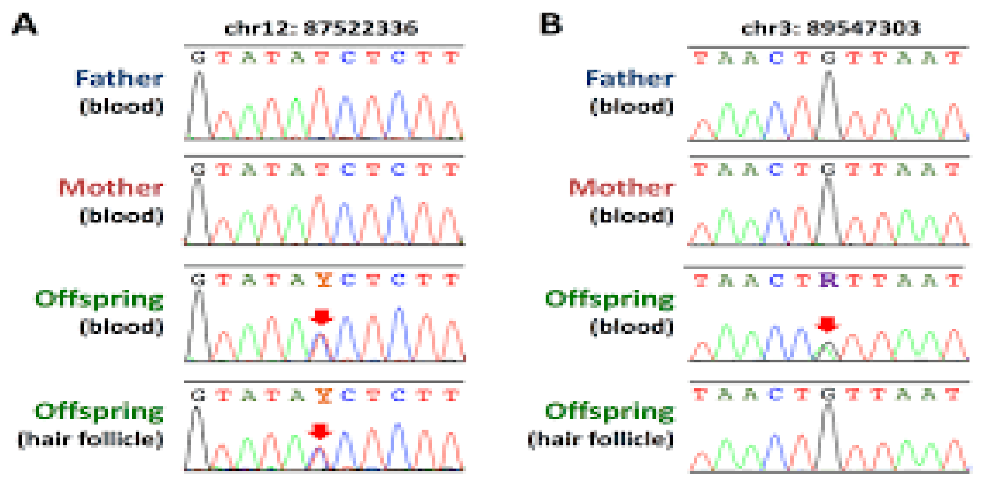 Preprints 196125 g007
