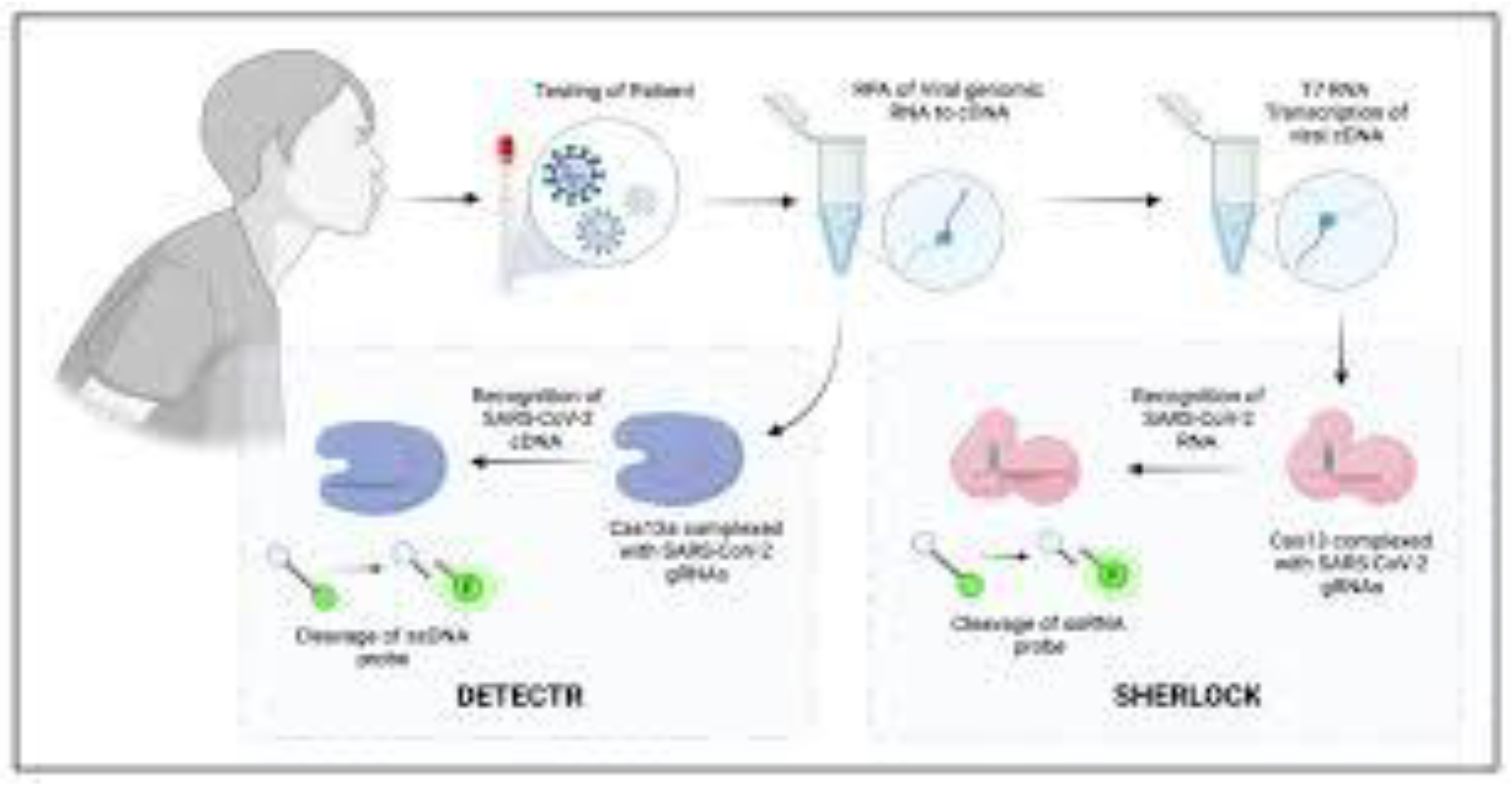 Preprints 196125 g008