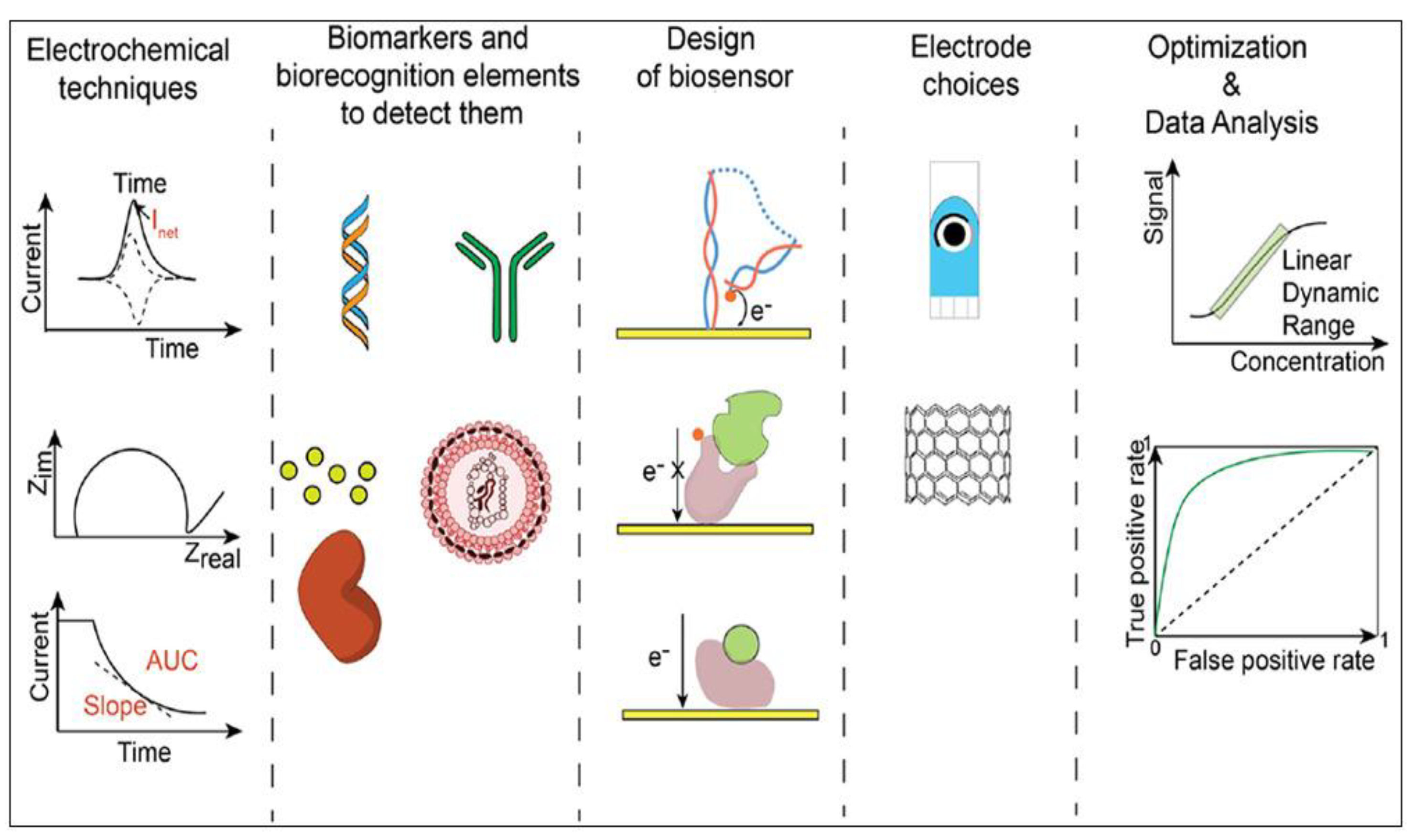 Preprints 196125 g009
